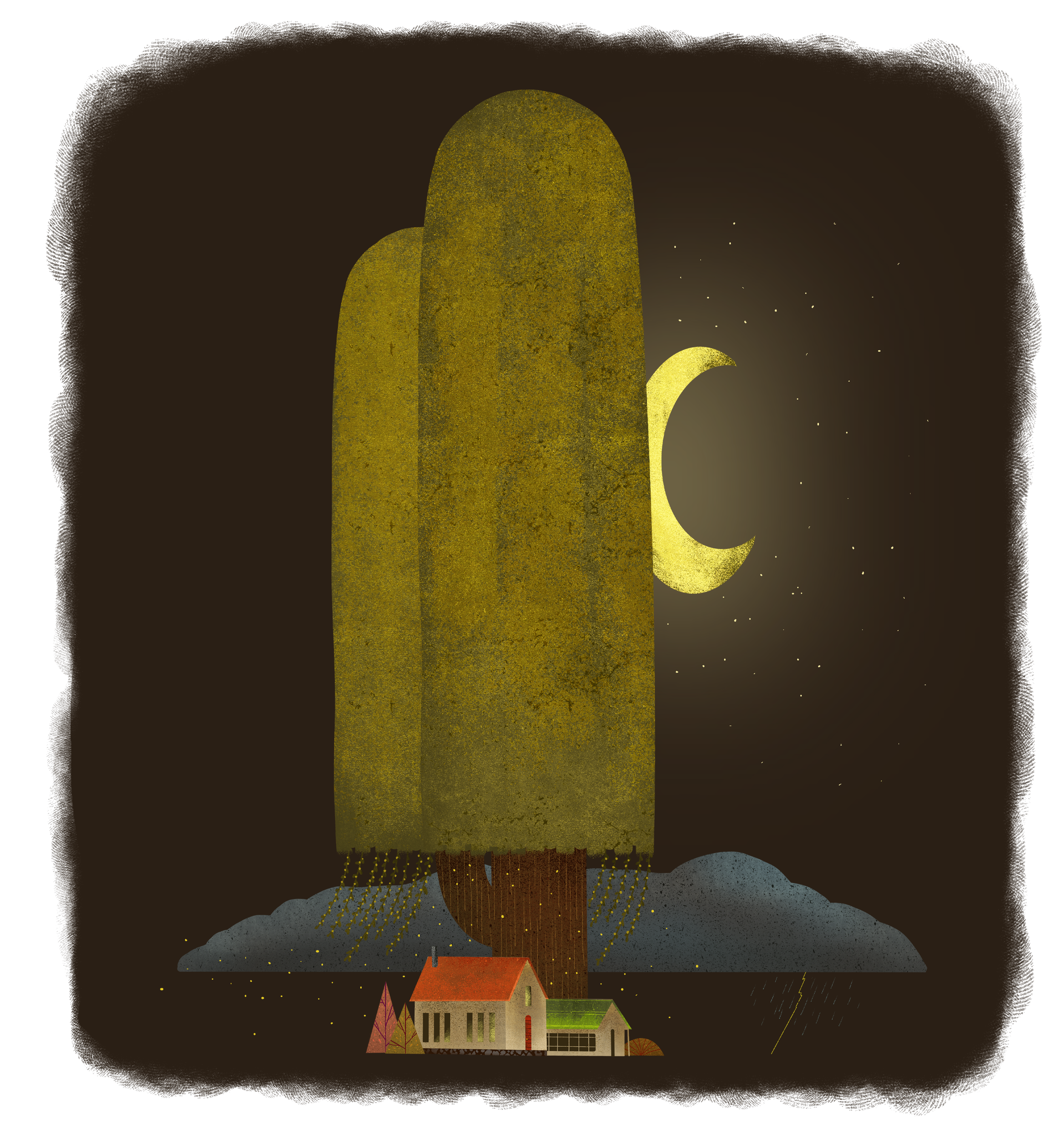 Tiny Homes Big Storms.png