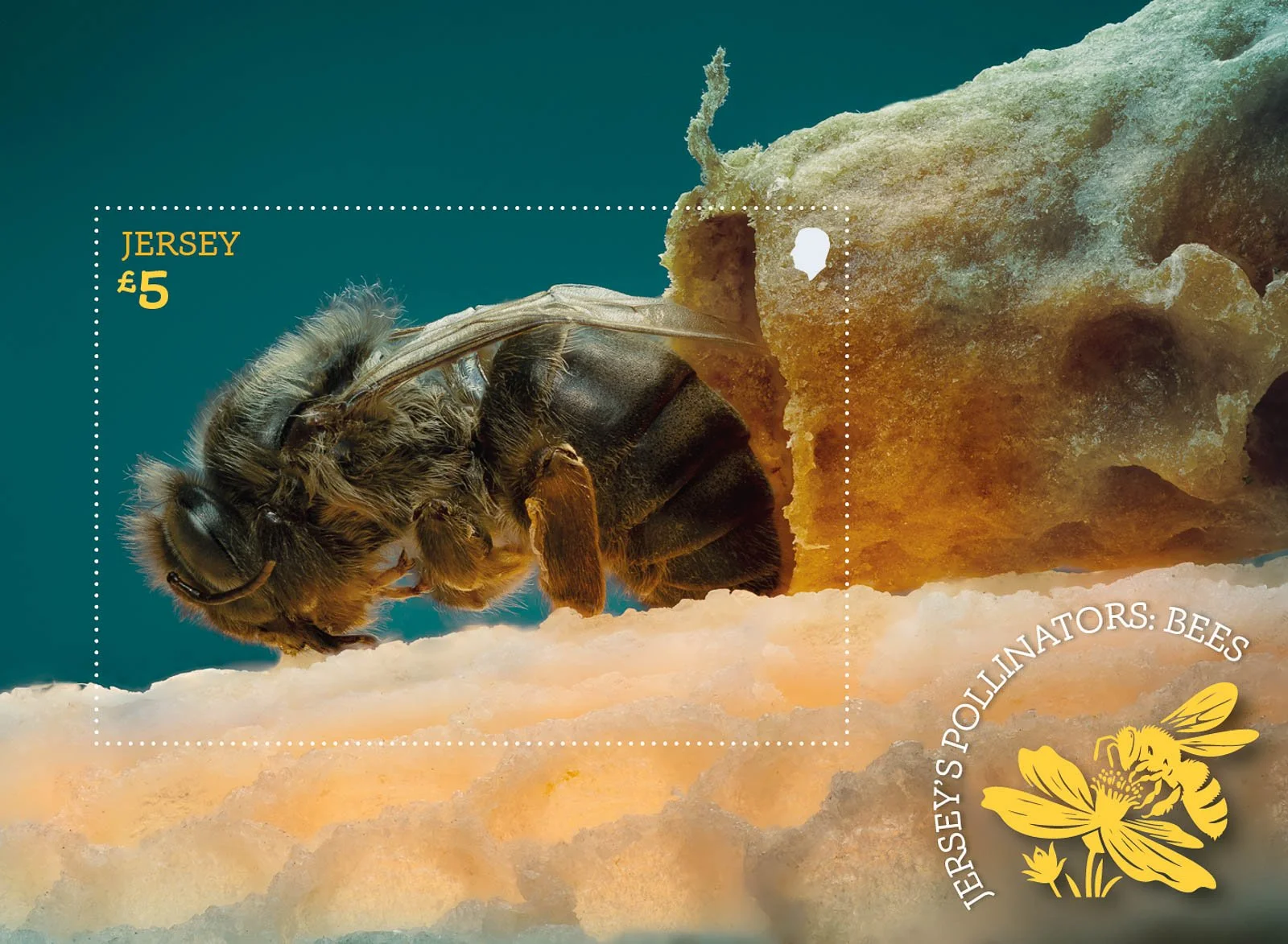 JERSEY'S POLLINATORS- BEES MINIATURE SHEET AW.JPG