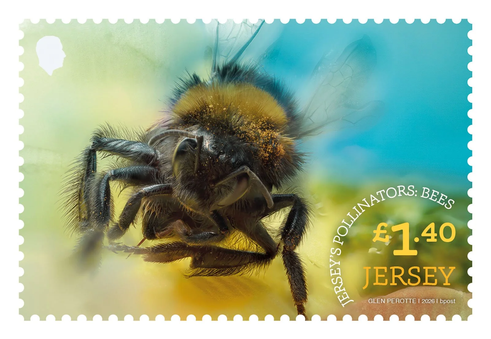 JERSEY'S POLLINATORS 32 x 48mm_AW3.JPG