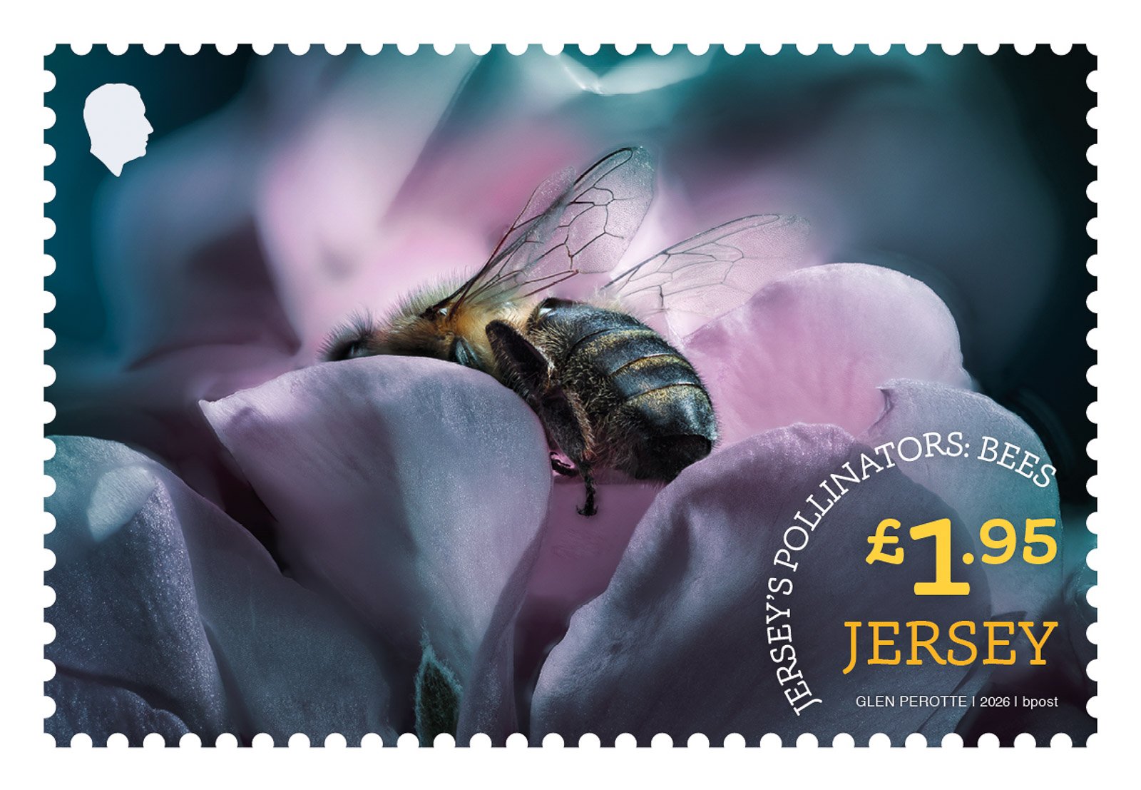 JERSEY'S POLLINATORS 32 x 48mm_AW4.JPG