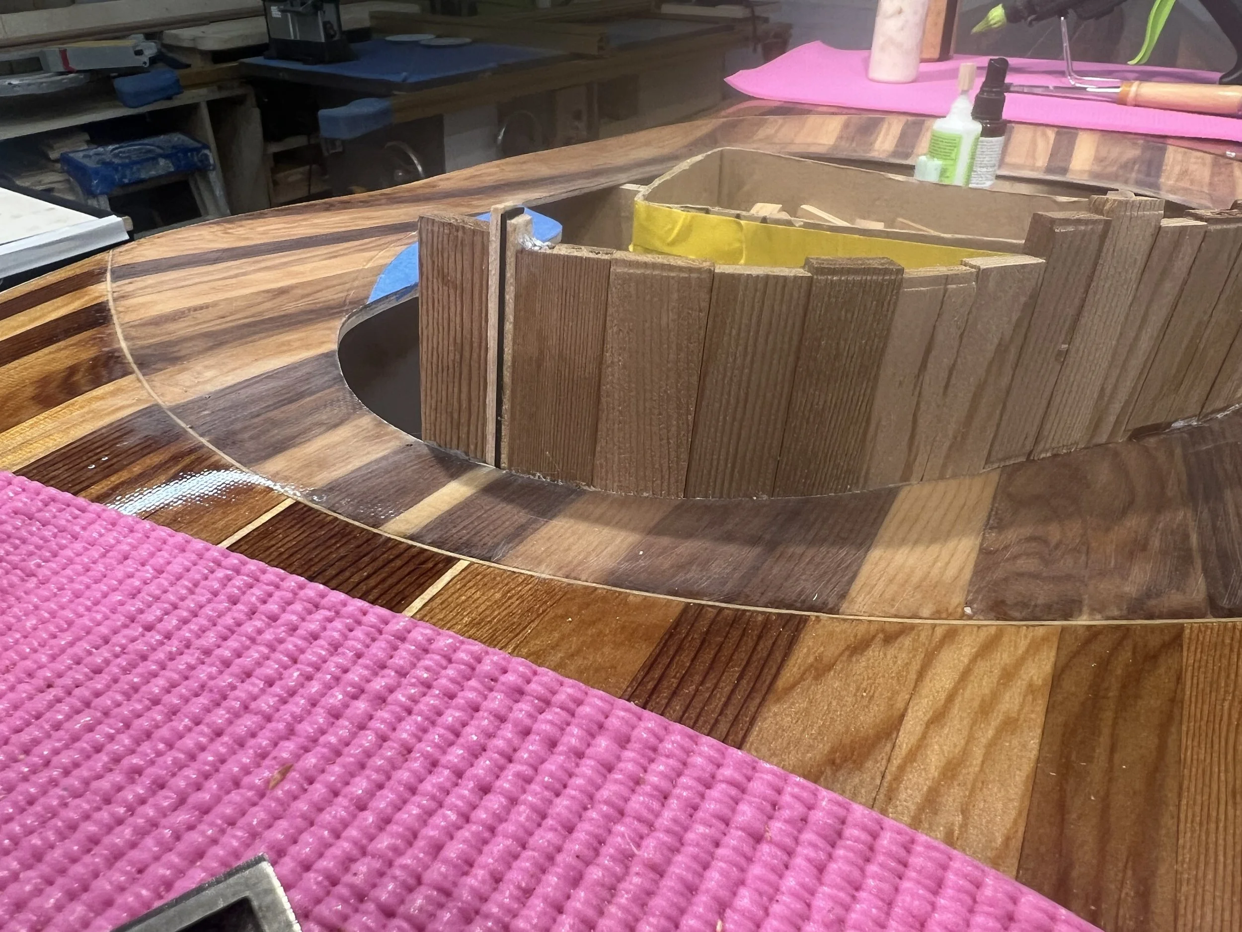 ebony highlight.jpeg