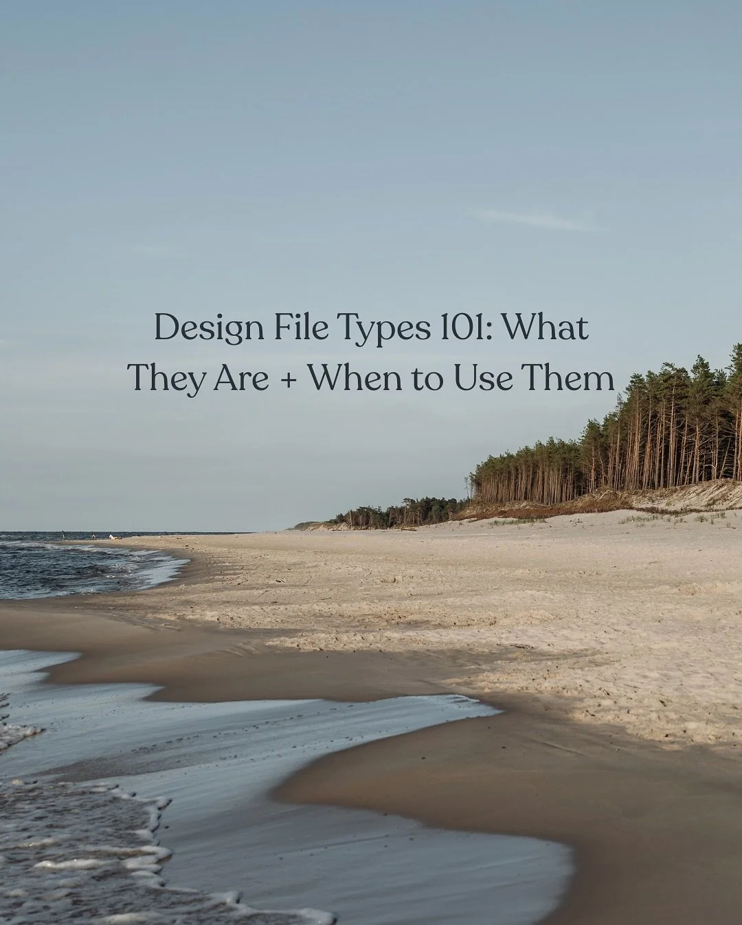 Whether you&rsquo;re working with a designer or DIY-ing your brand, understanding what each file type is &mdash; and when to use it &mdash; can save you so much time (and frustration).

Ever tried uploading your logo to a website and it&rsquo;s blurr