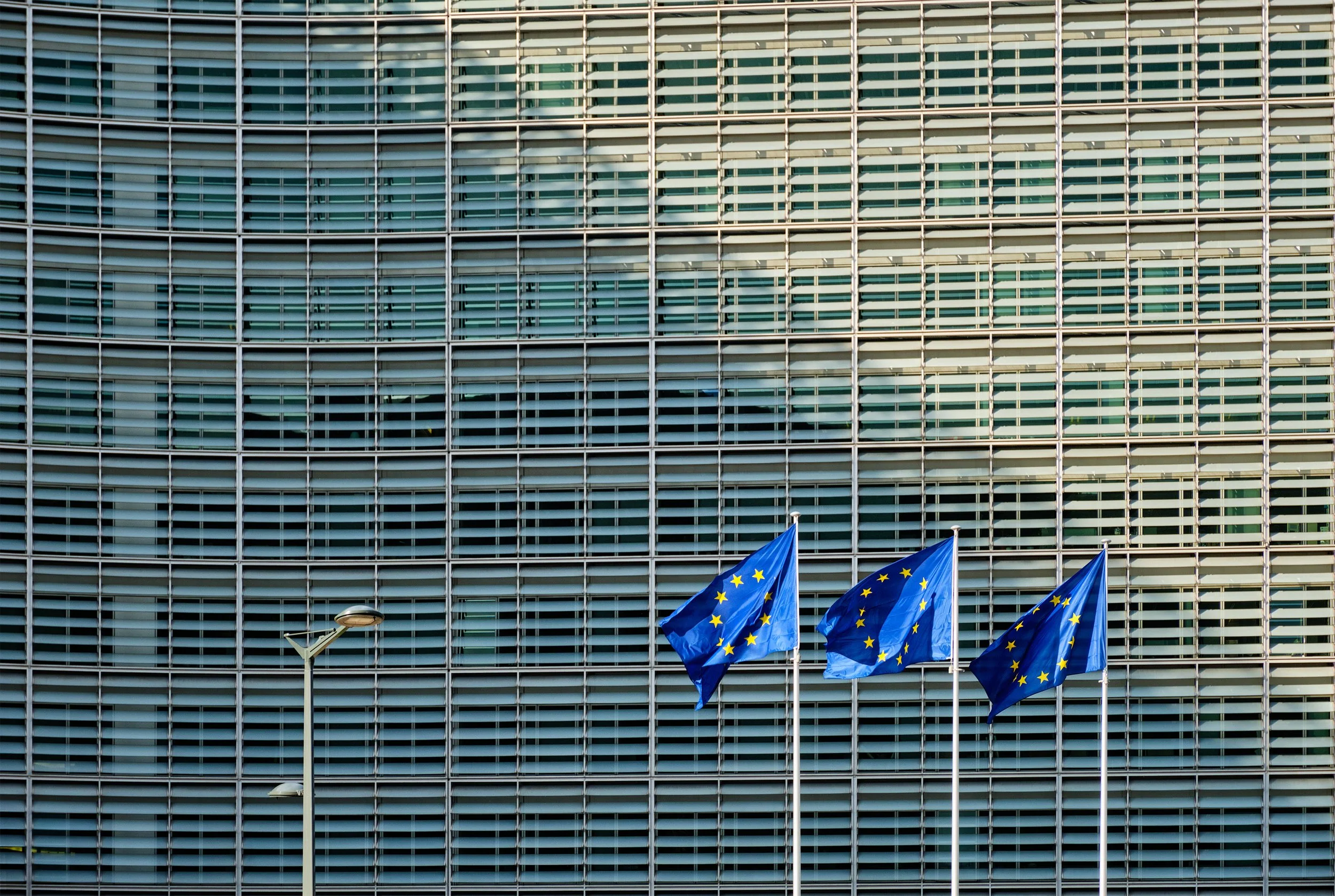 eu-flags-in-front-of-european-commission-2023-11-27-05-17-27-utc.jpg