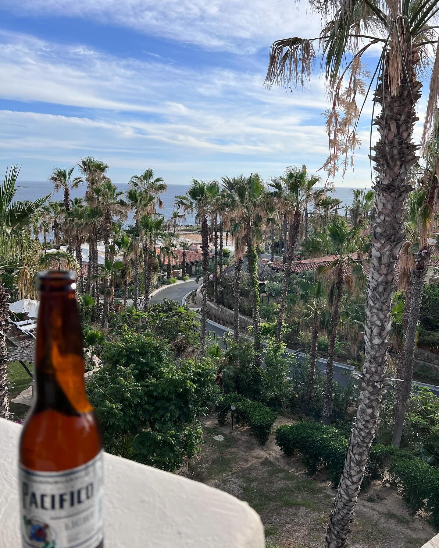 Almost had fiftyleven menty b’s on the flight but we made it #smartflyertakemeto #cabosanlucas #familytravel