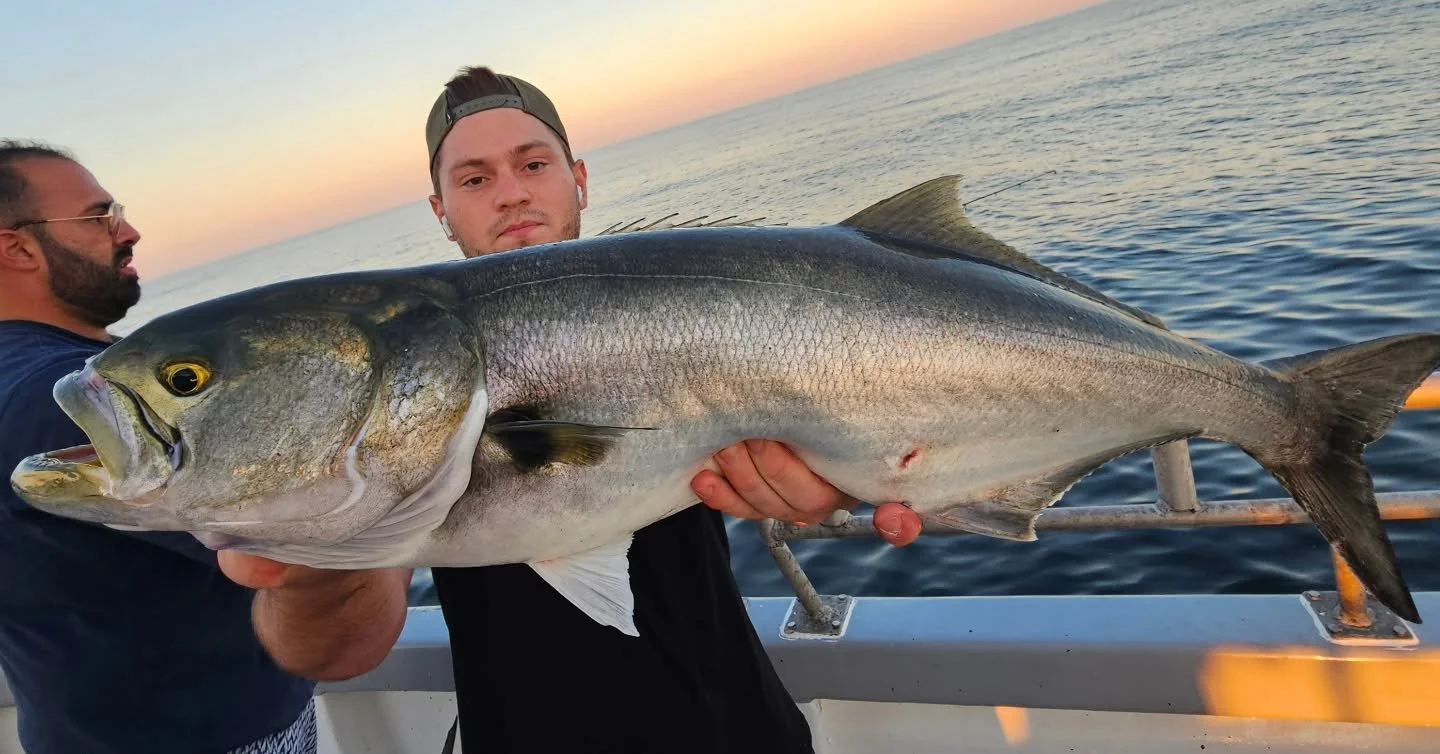 Bluefish Beatdown on today's Magic Hour Diamond Jigging Blues trip!! Great fishing all afternoon with fish flying over the rail on every drift. Fish ranged from 3-11lbs, with a good amount of gaffer size fish! Also saw a couple of bonito tonight too.