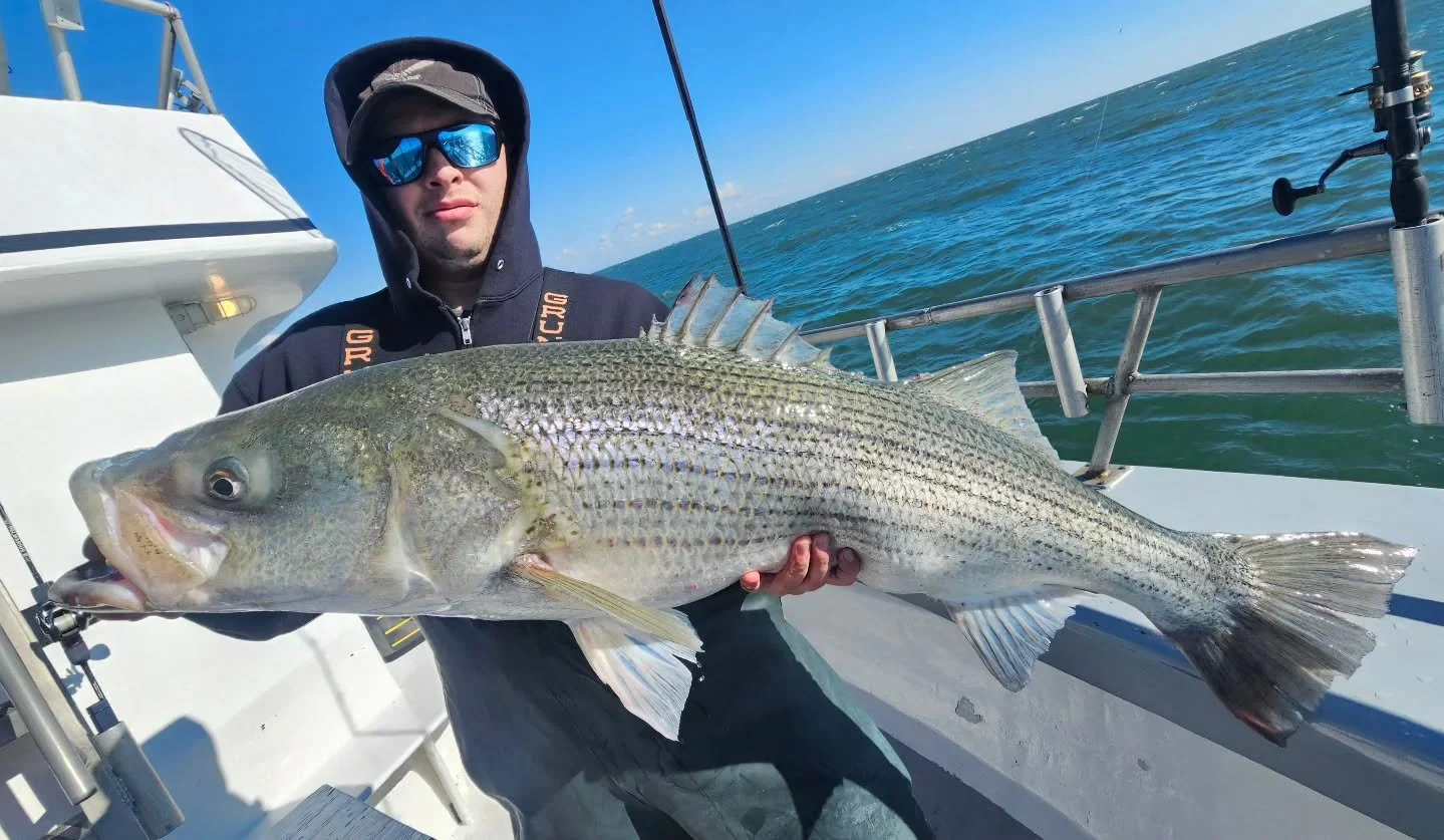 Well, the famous saying "You should've been here yesterday" definitely applies to today... All the fish we've been seeing the past few days seemed to vanish after the new moon last night. Looked over a bunch of new areas looking for somethi