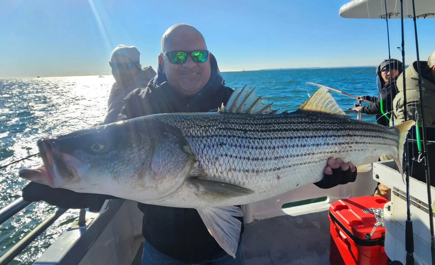 A definite improvement today! 
Did some looking in a different area this morning with the expected boat traffic. Took a little while to get the fish going but had a couple shots at them with the shads on readings. As the day went on we picked away wi