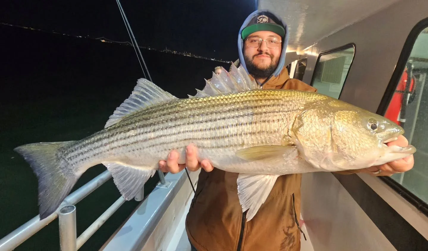 Nighttime Eeling!!!
Back on em on tonight's night eeling trip. After some slower trips last week, finally had the right tide and conditions tonight and the bite showed it! Bites all night long with our light crowd. Definitely a new class of fish toni
