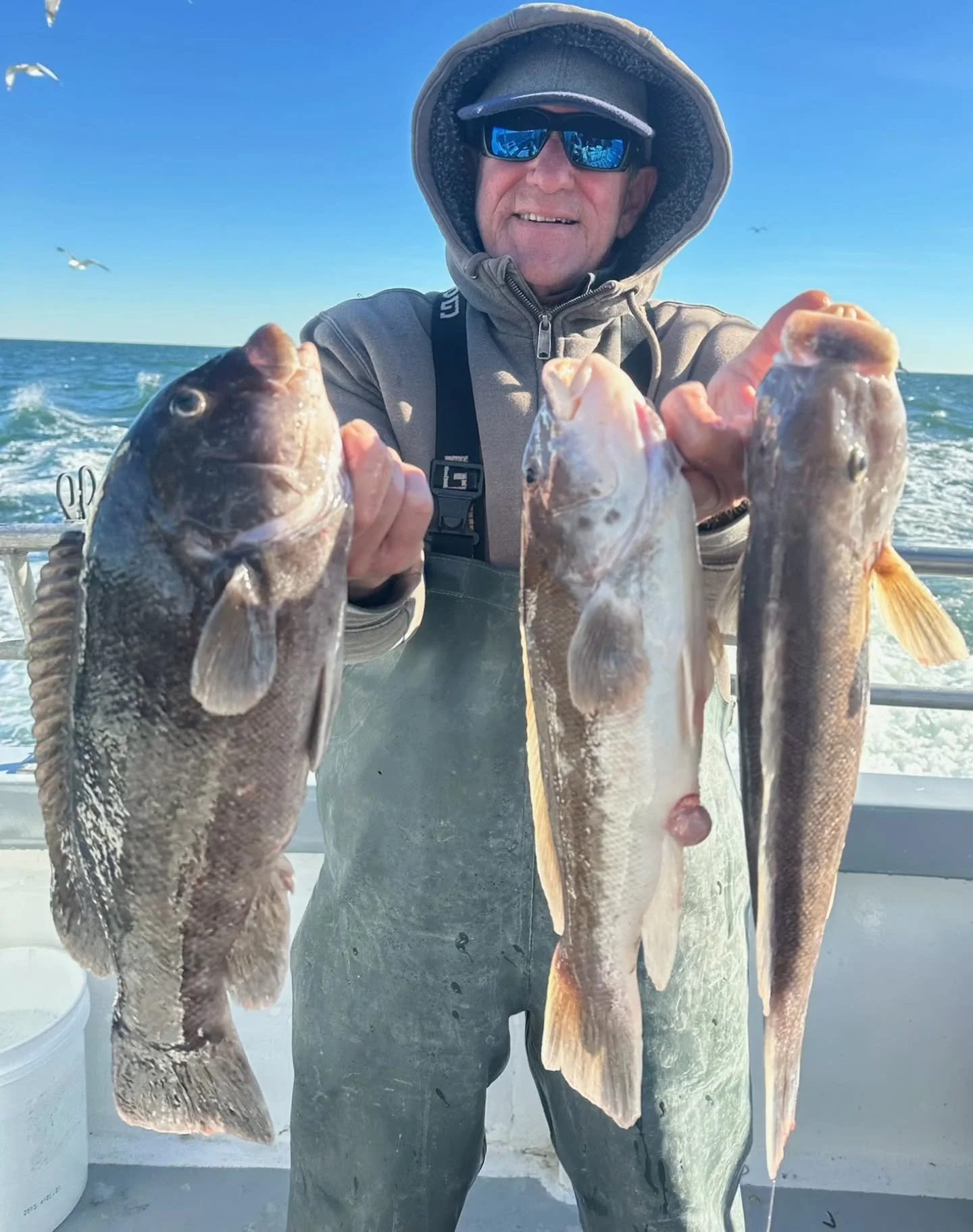 Steamed out this morning with a stiff NW wind headed for the Blackfish grounds. Looked over an inshore drop on our way out but the tide was just too strong. First drop of the day had nice conditions with not too much current. Loads of bites all aroun