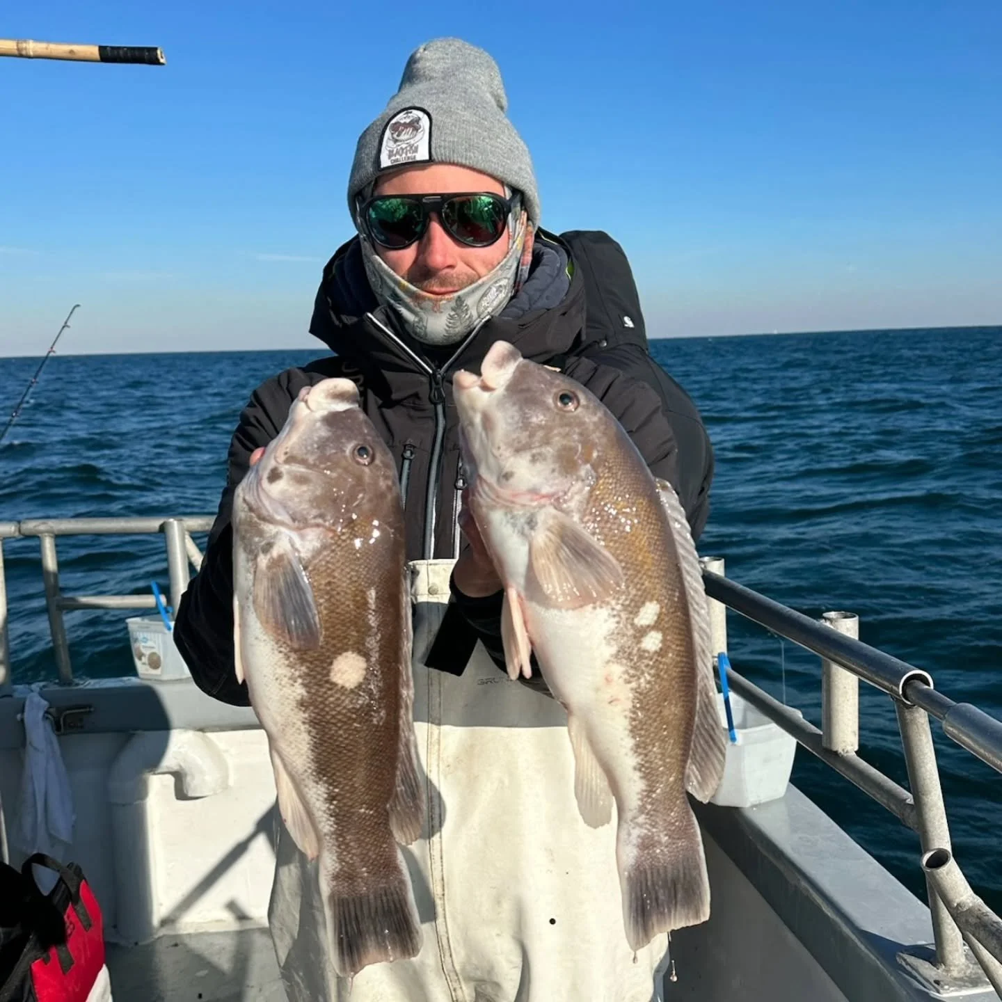 Made our way out this morning to the blackfish grounds with a light crowd. Didn't seem to matter where we looked, the current was vicious. Made a couple different drops, all of which has decent short action with a couple of keepers. Made a move late 