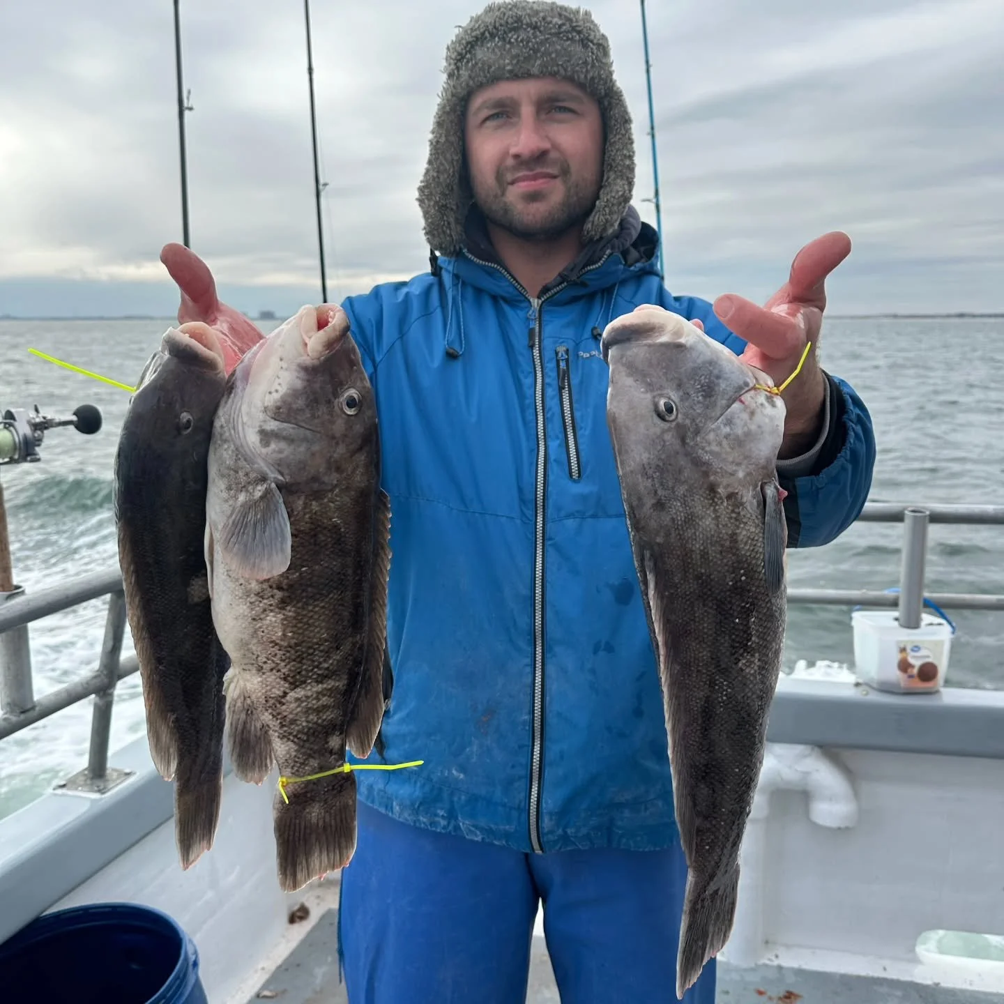Had the Raritan Bay Anglers Club out this morning for a day of blackfishing. Steamed to the area we had the best life yesterday to find pretty much a desert. Screaming north tide made it tough to jig, and it seemed like the jigs were the only baits g