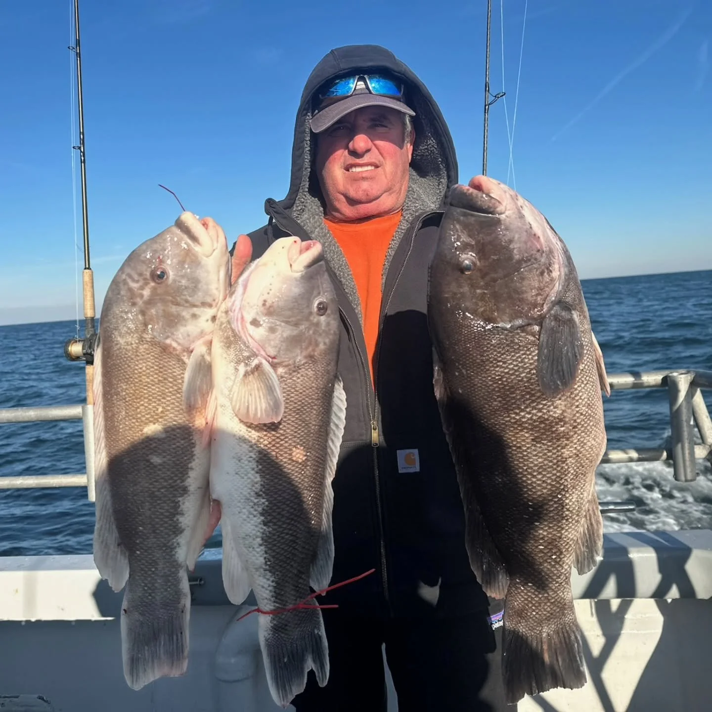 Drop dead gorgeous day on the tog grounds today. First drop of the day was the best, with fish FLYING as soon as we stopped. Quality couldn't have been any better with the vast majority of the fish being over 5lb. Had 3 fish in a row over 7lbs, follo