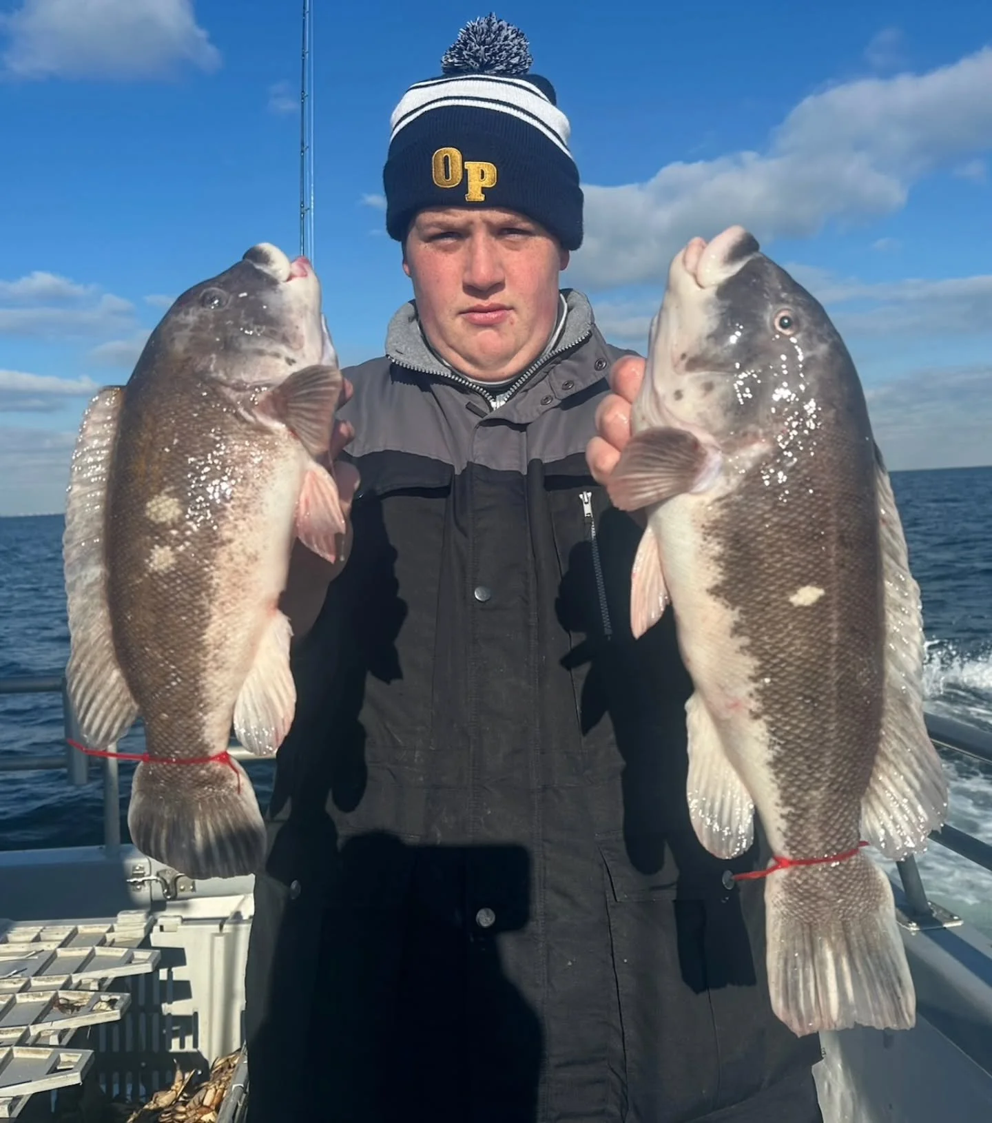 Better life on the tog grounds today! Headed out this am with a light crowd after yesterdays dud. First drop was no good but thankfully the wind backed off a bit and we were able to head offshore. Found an area of life and bounced around a few differ