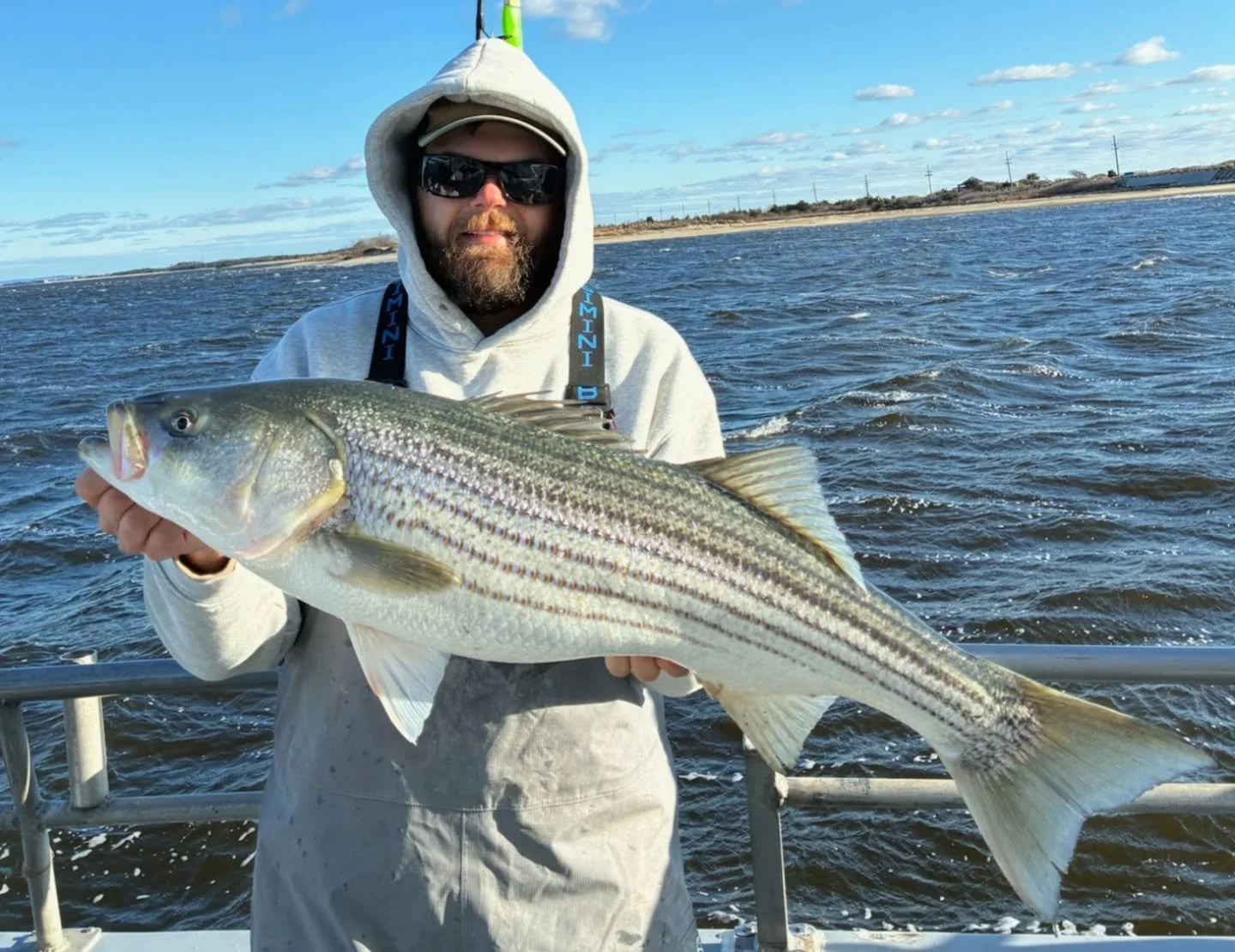 Another good day of early season Striper fishing today! Never hot and heavy but a good steady pick for the majority of the day. Had fish on most drifts today with some drifts seeing 8-10 fish each. Many more overs today than we've been seeing, with m