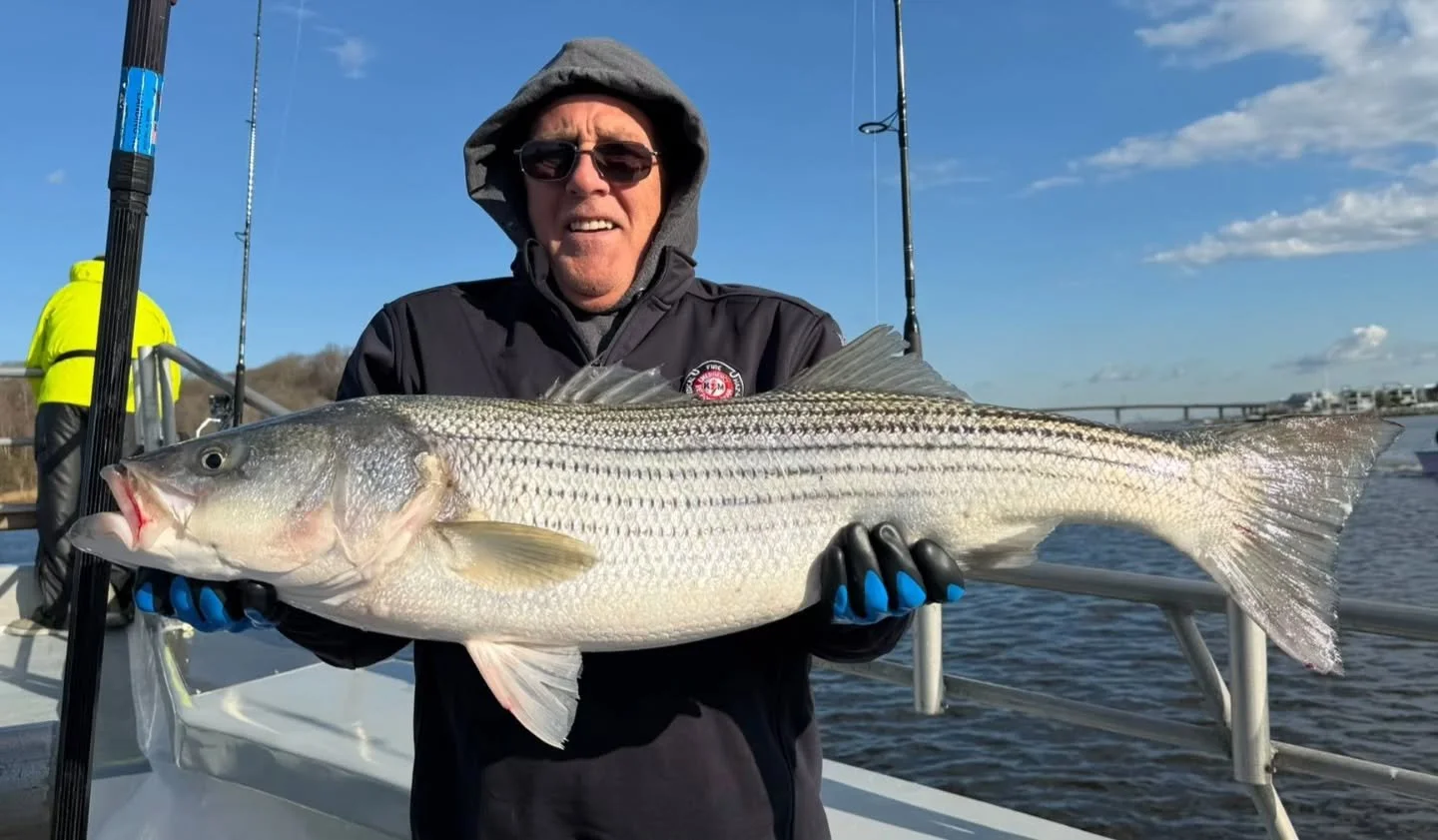 Much slower fishing on this mornings trip. Had some decent drifts at the beginning of the tide, with a couple fish each drift. As the tide picked up, so did the wind and the fish seemed to scatter. The boat traffic is definitely getting to them, maki
