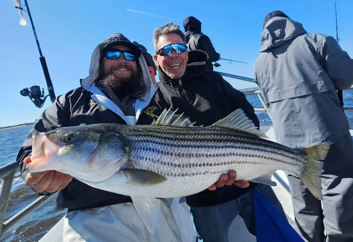Very good Striper fishing today!!! Left the dock with another good crowd this morning and found fish under birds almost immediately. Our first drift was mayhem with fish flying over the rail. Once we got covered in boats the fish went down but we con
