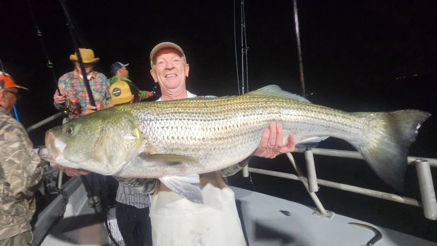 Another great night of Trophy Striped Bass fishing! Took a few drifts to get some current, but once we had it we had non stop bites every drift! Steady fishing with 1-3 fish per drift with a couple drifts of 4-5. That lasted a couple hours, then deci