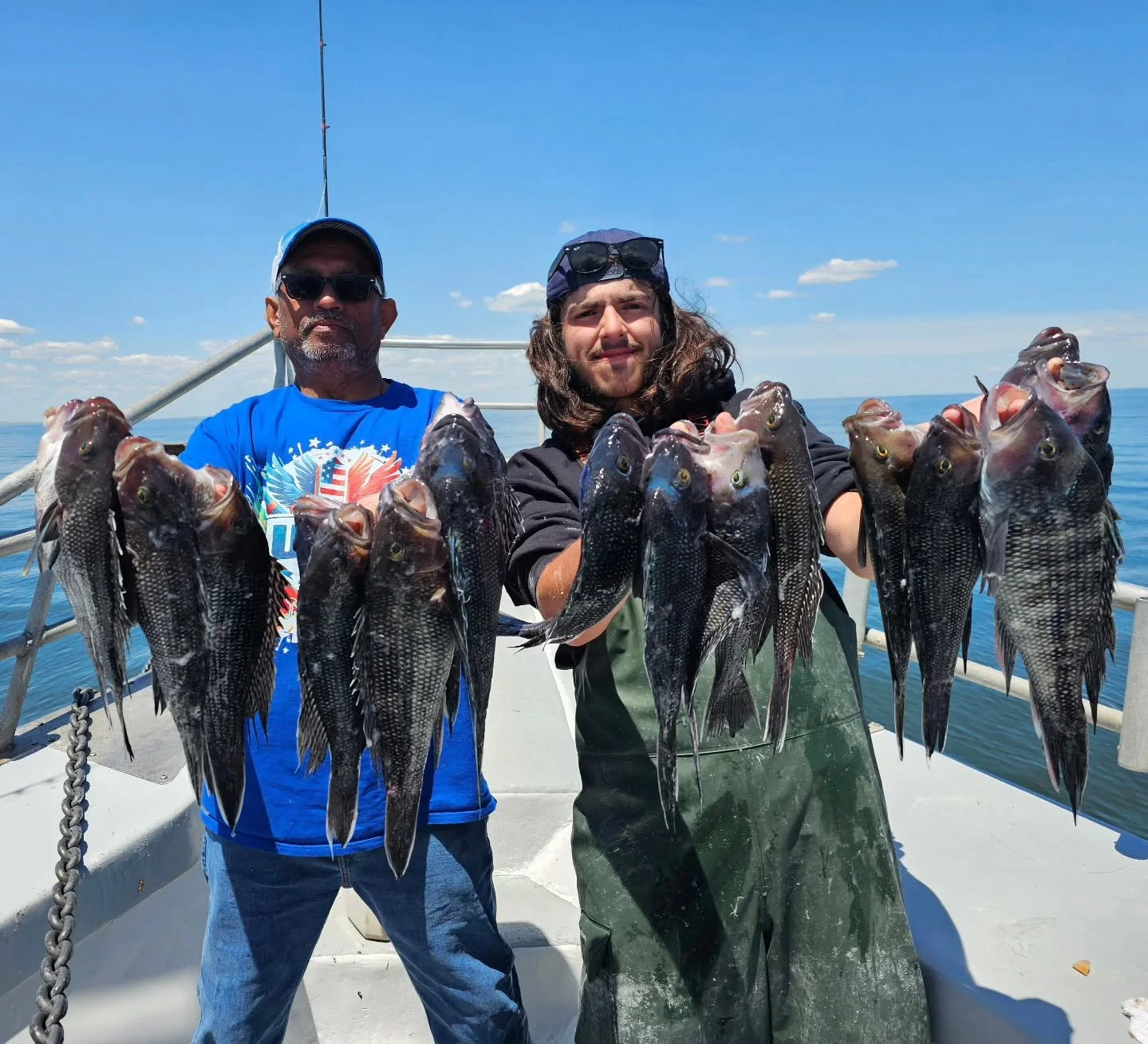 Very good Seabass fishing today!!!
Got to the grounds this morning and had instant life. Short action was pretty much drop and reel with some very nice keepers coming up on the bait. Hovered around a couple of pieces, picking the keepers off each. Ma
