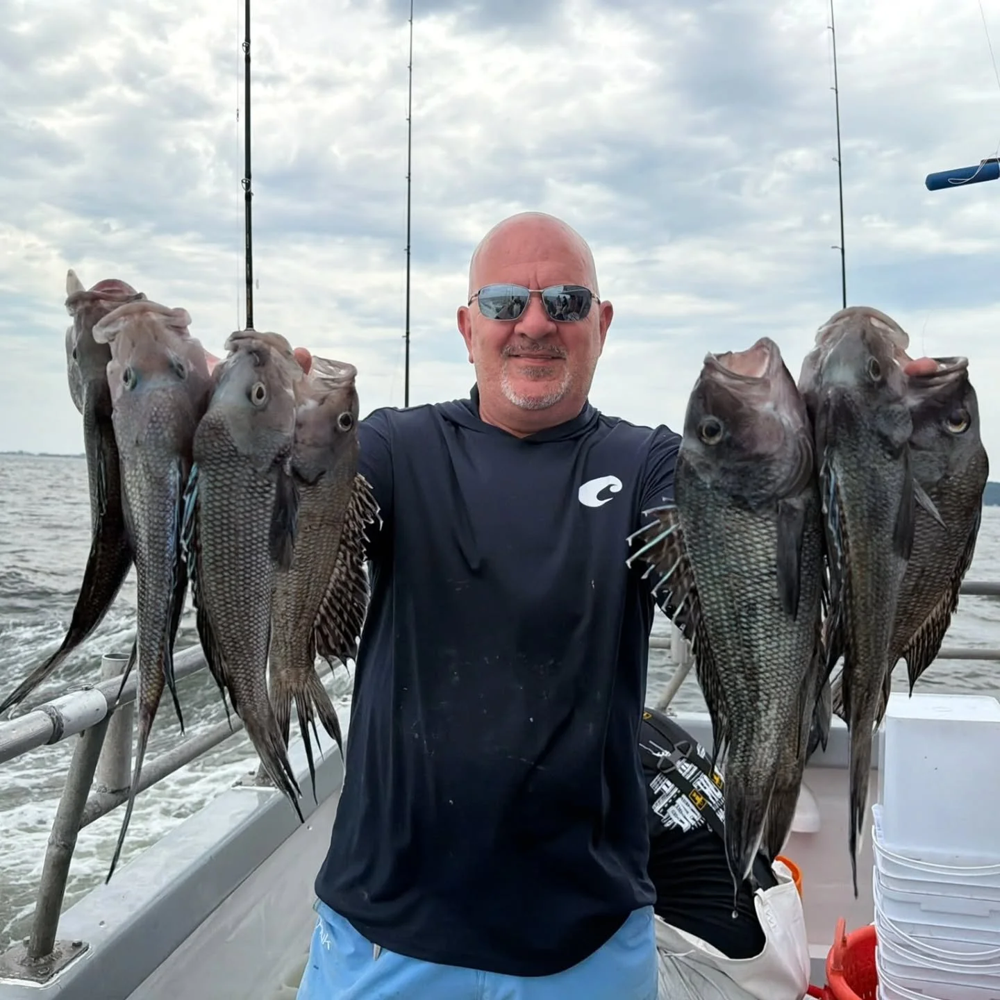 Seabass fishing has been pretty similar the past few days. Every trip is seeing fantastic short action with a pick of keepers for the majority of the day. Each day we seem to find a few spots that are loaded with keepers though, just really got to ta