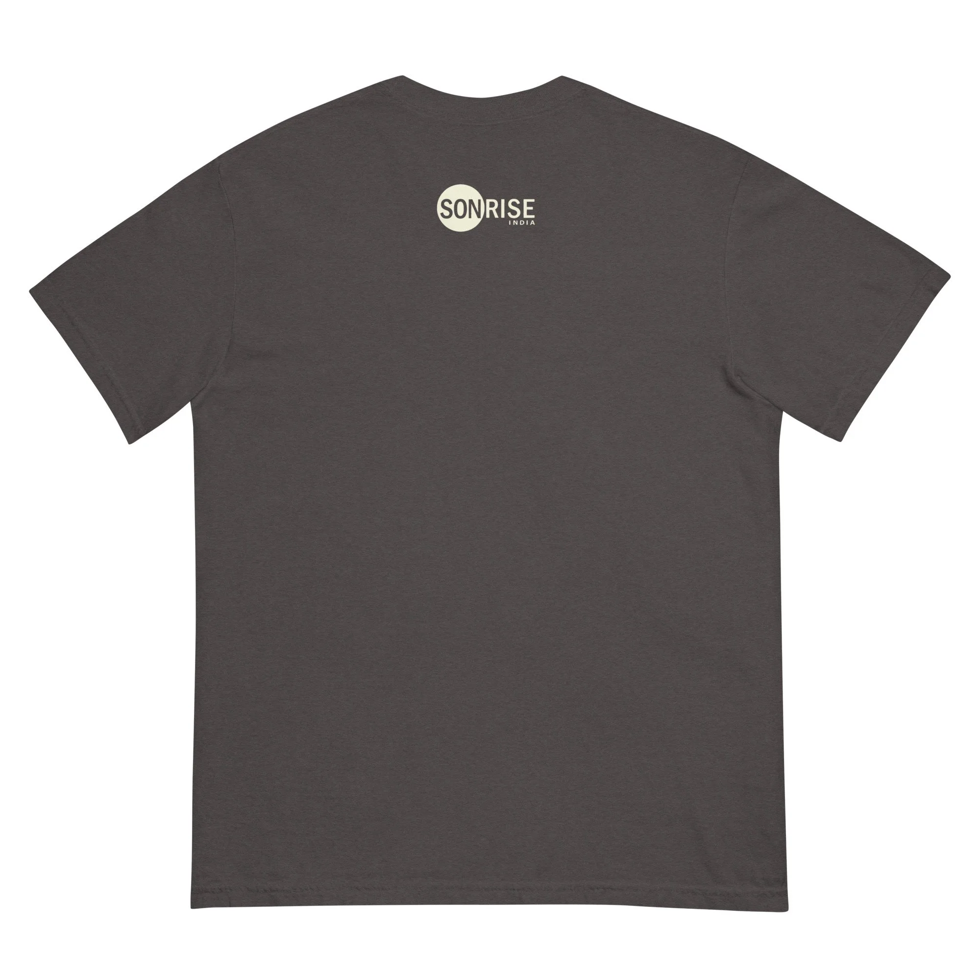 unisex-garment-dyed-heavyweight-t-shirt-graphite-back-6854b1be97f25.jpg