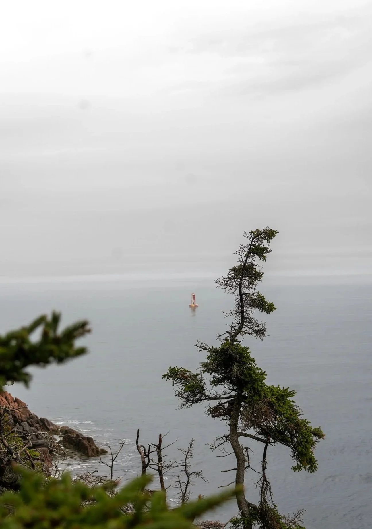 Acadia_Page_05.jpg