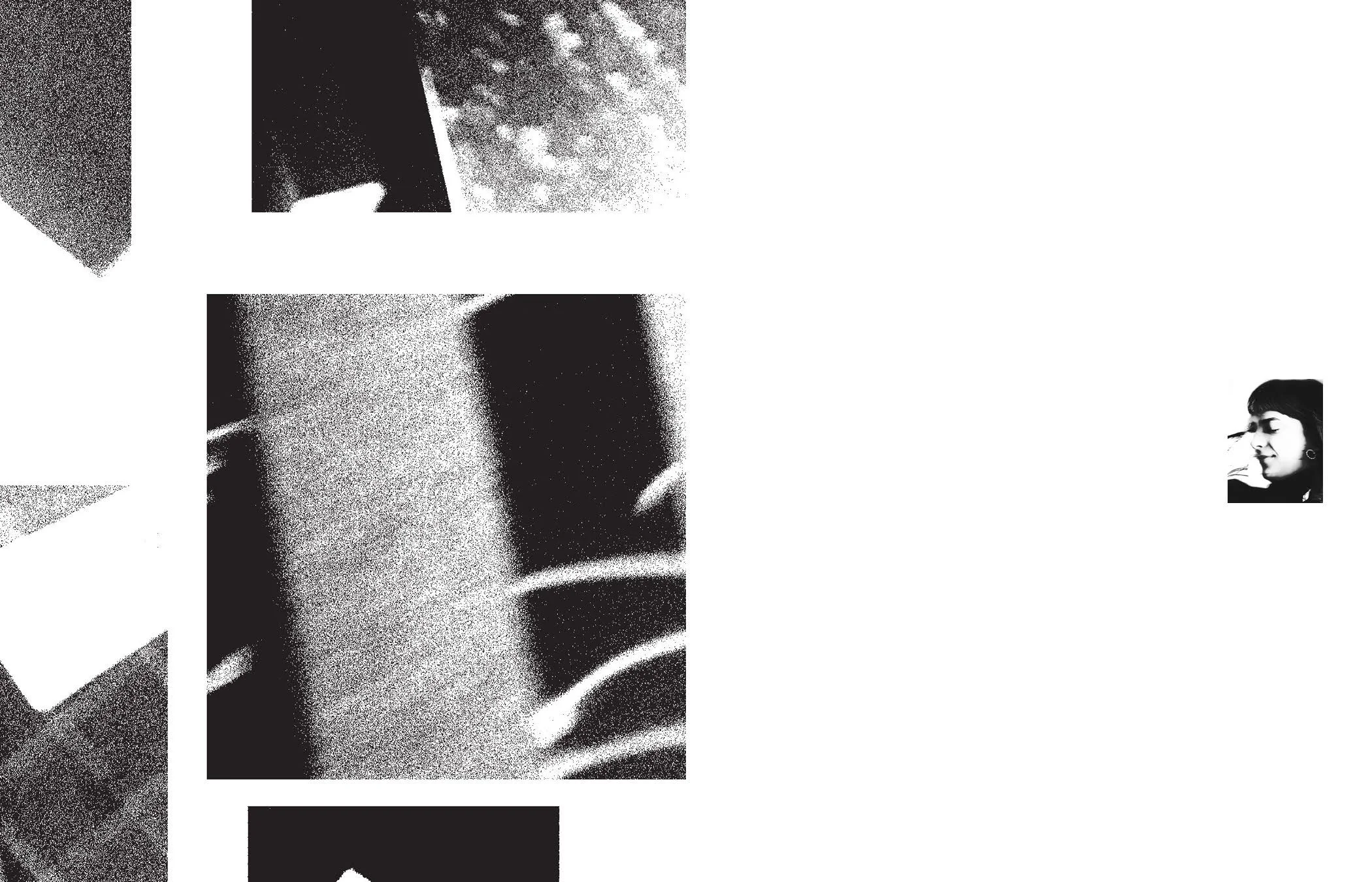 Brossman_Venesky_photobook_Page_08.jpg