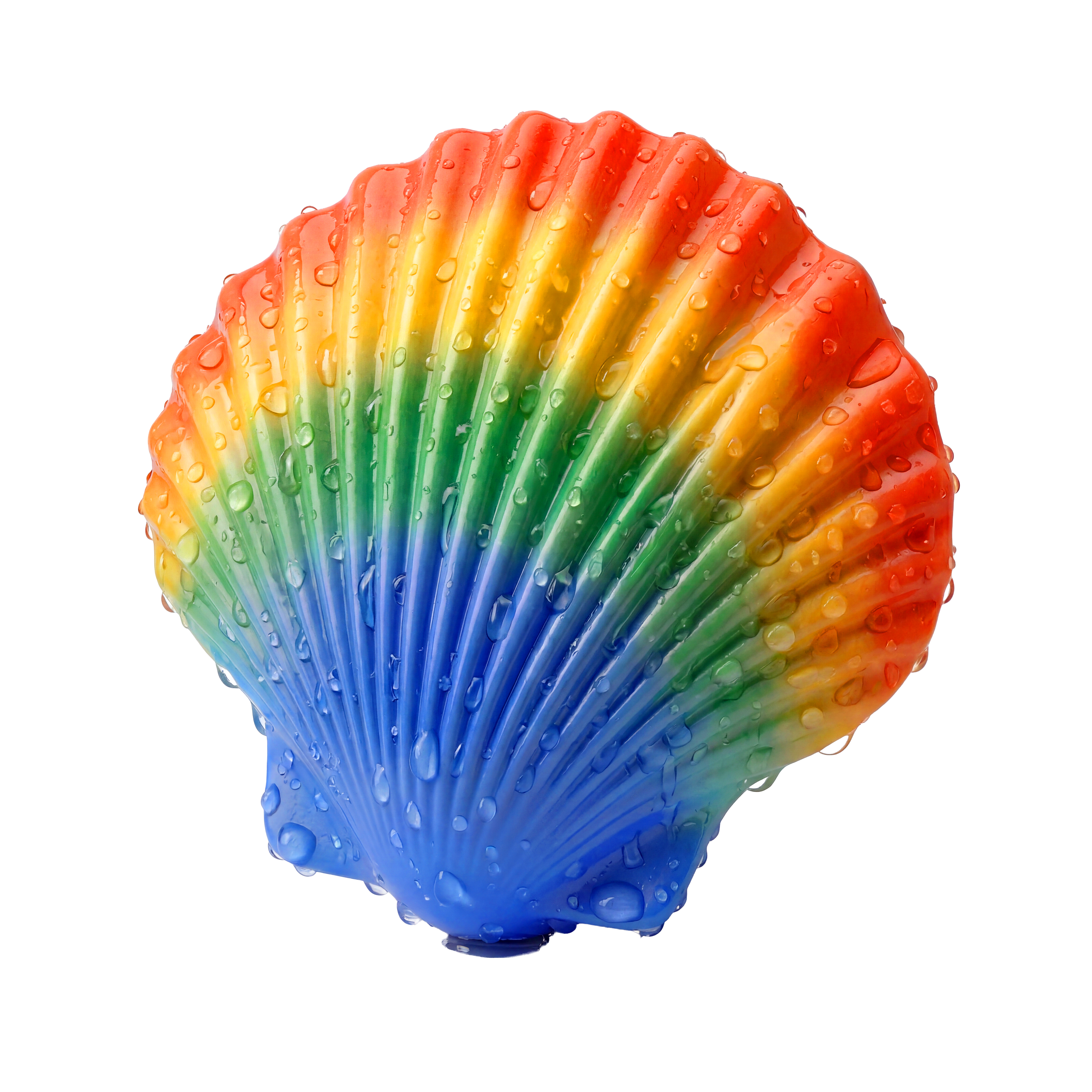 Cannes-shell.png