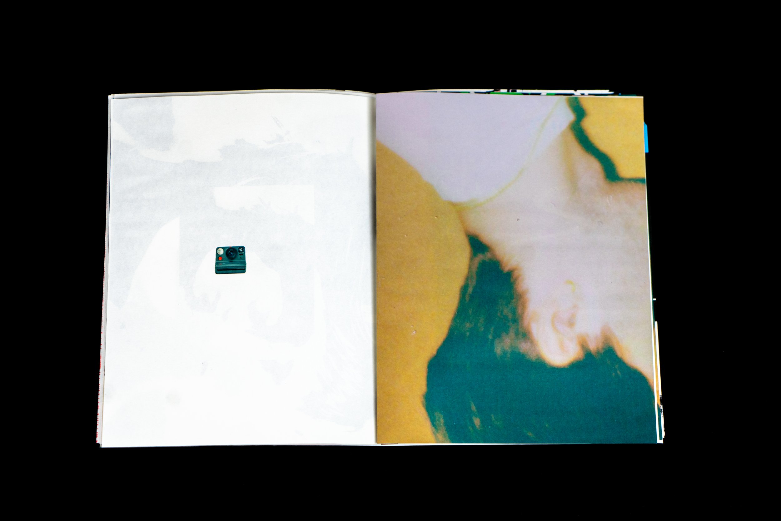 031_veneskyFinalBooklet.jpg