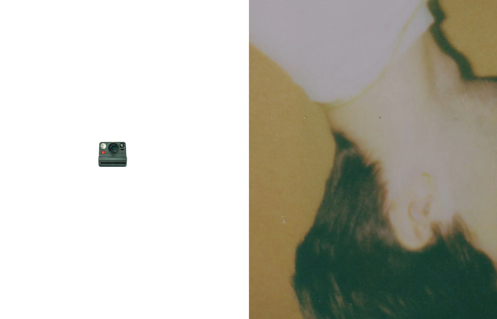 Brossman_Venesky_photobook_Page_21.jpg