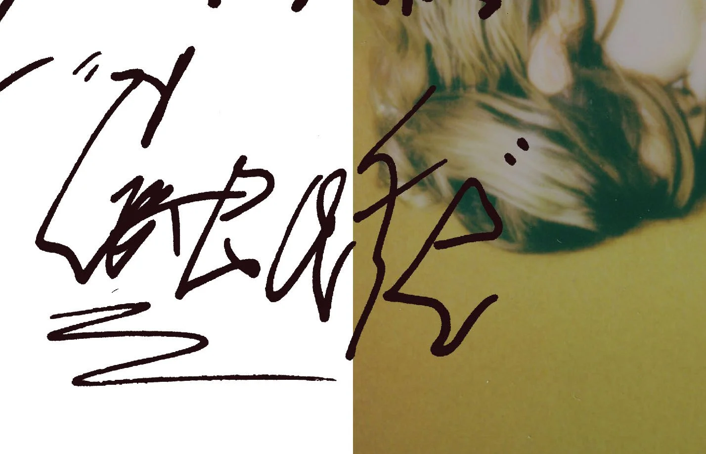 Brossman_Venesky_photobook_Page_16.jpg