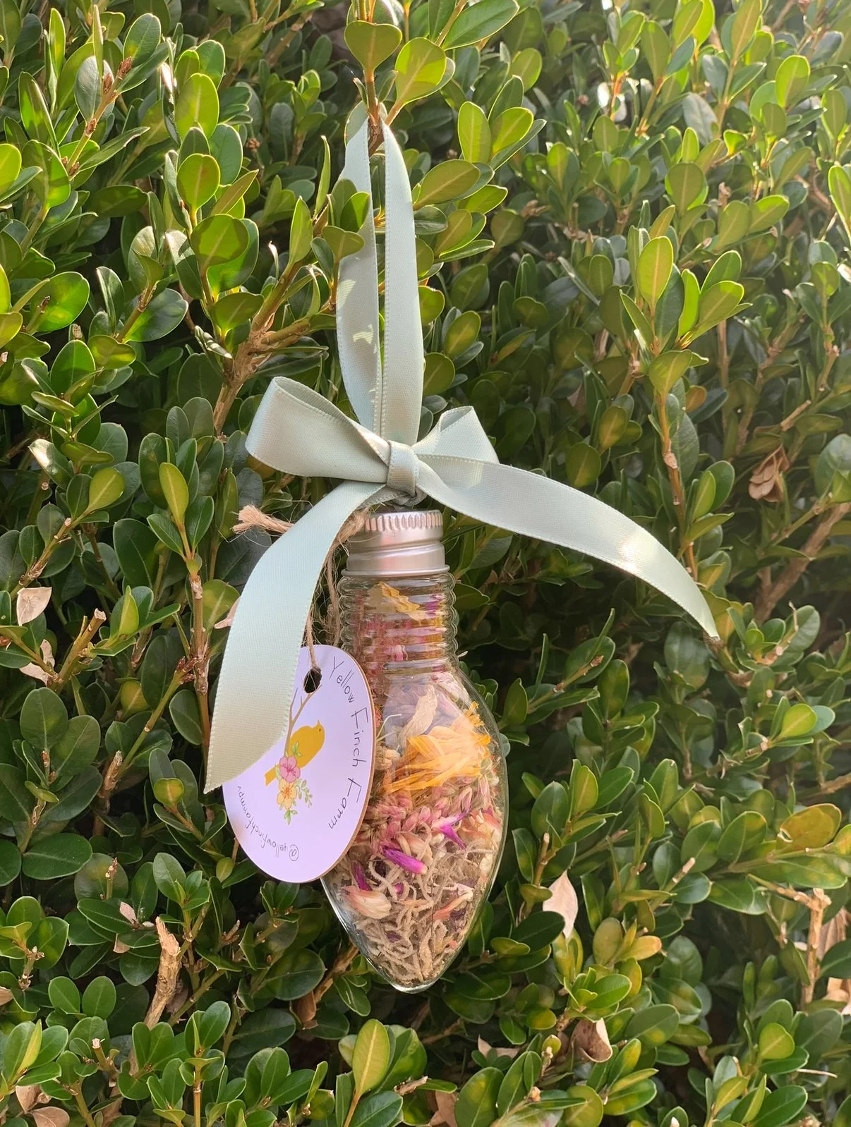 Glass Christmas Ornament- preorder