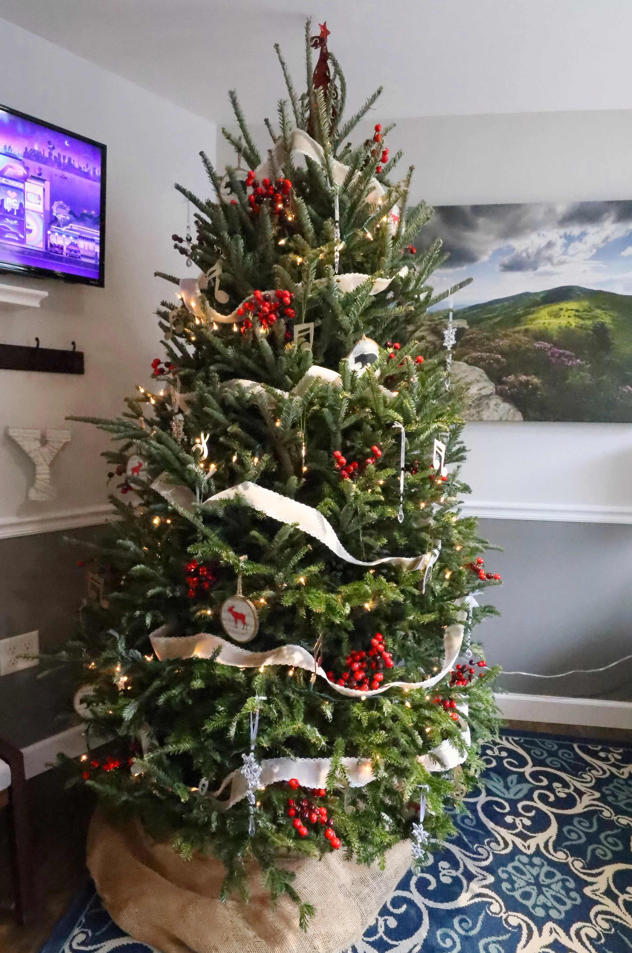 Black Mountain Family Eye Care