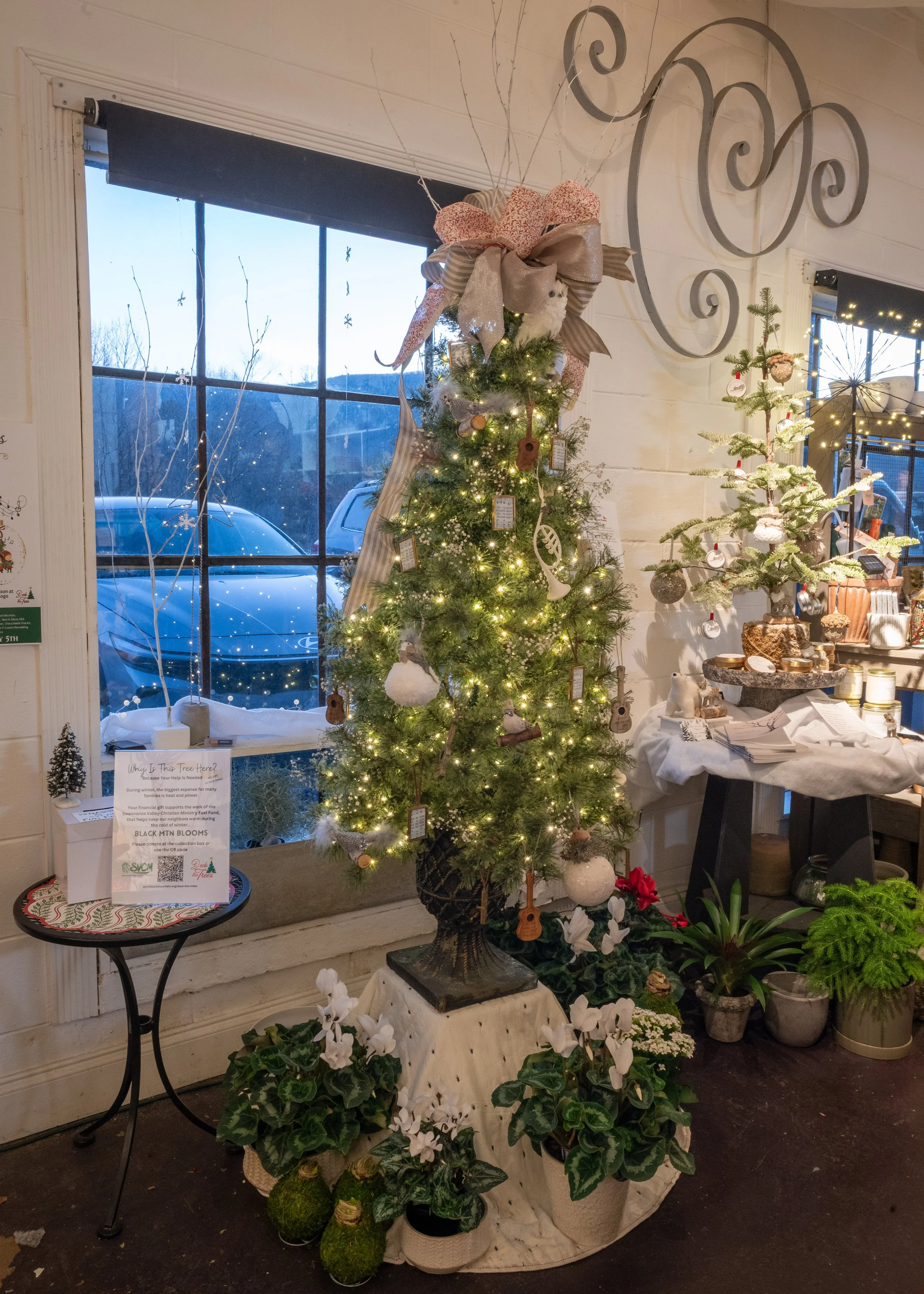 Black Mountain Blooms