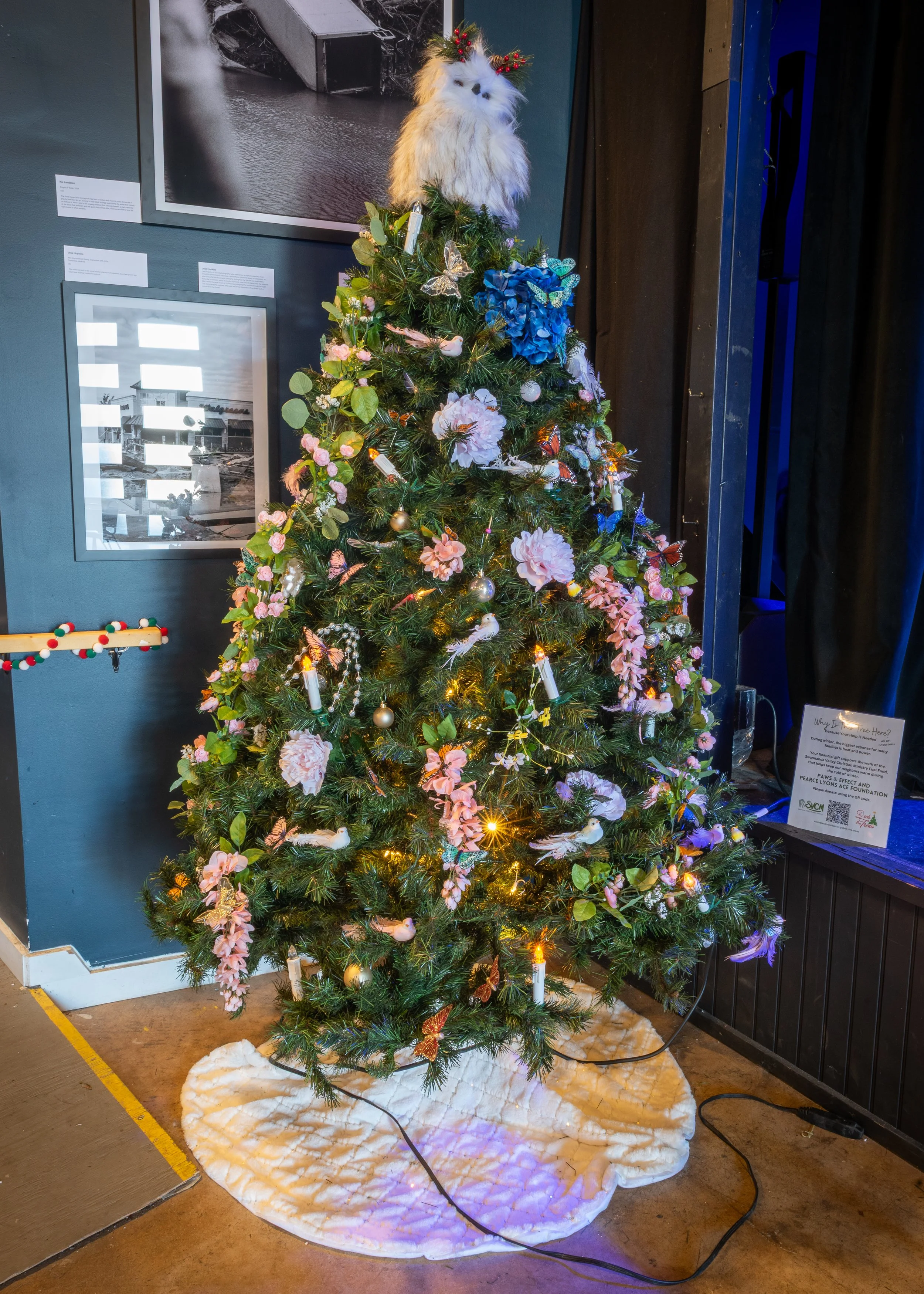 Paws & Effect / Pearse Lyons ACE Foundation (at White Horse Black Mountain)