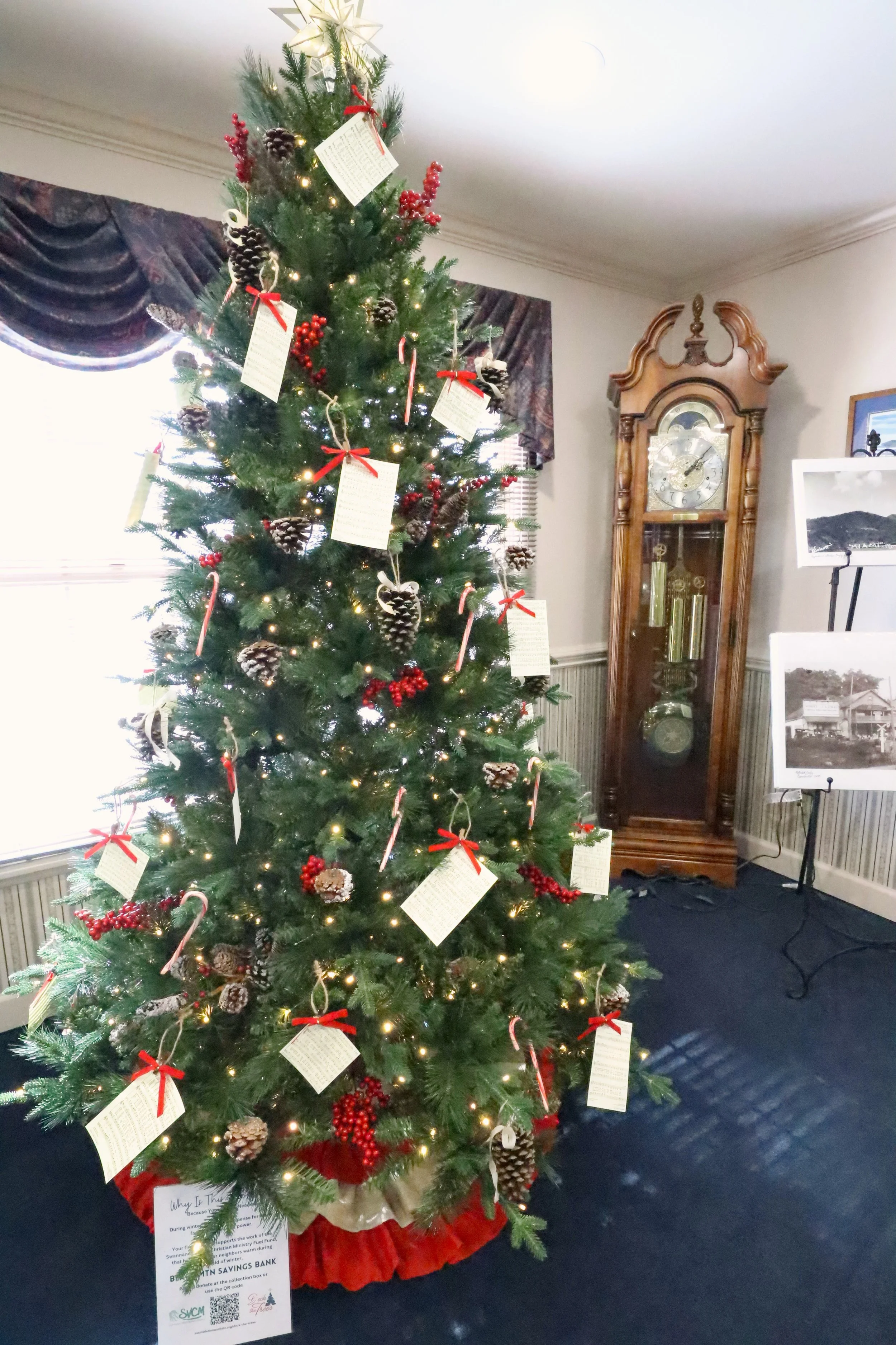 Black Mountain Savings Bank