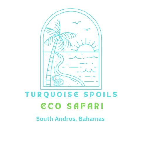 Turquoise Spoils Eco Safari