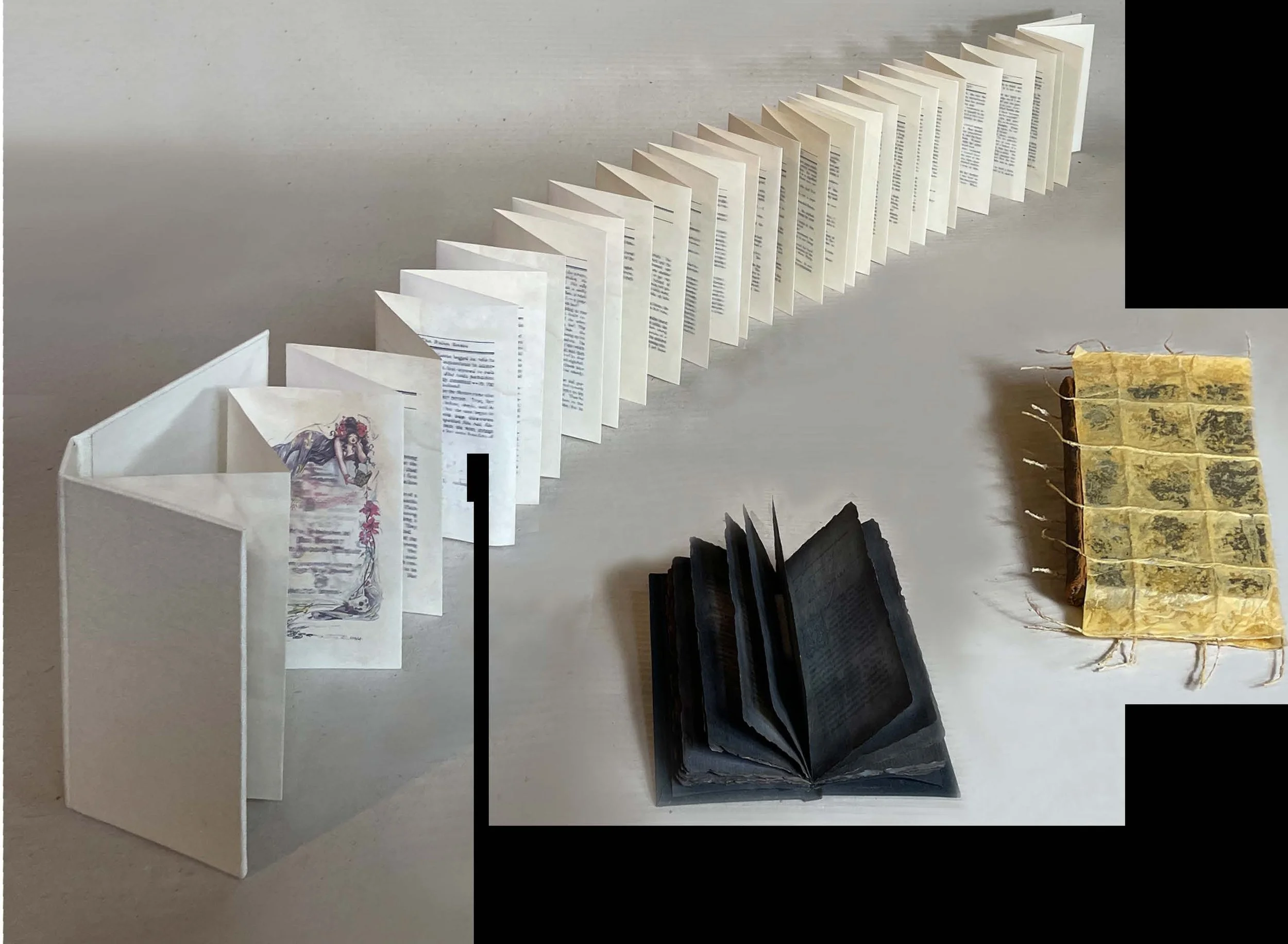 FIG-Christensen Submission 1.jpeg