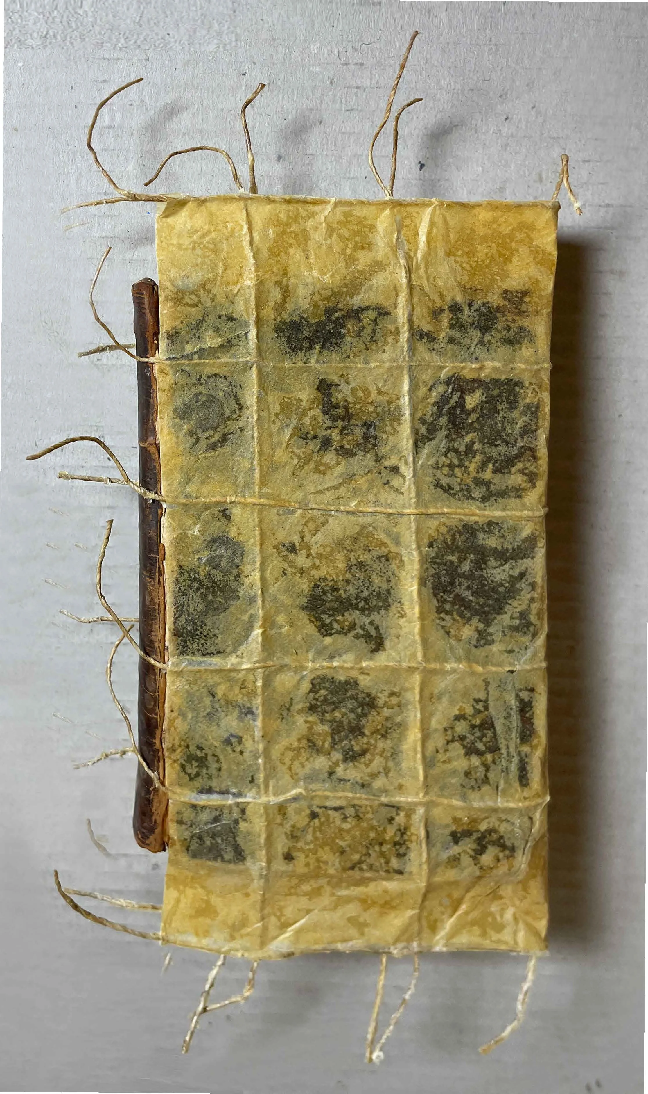 FIG-Christensen Submission.jpeg