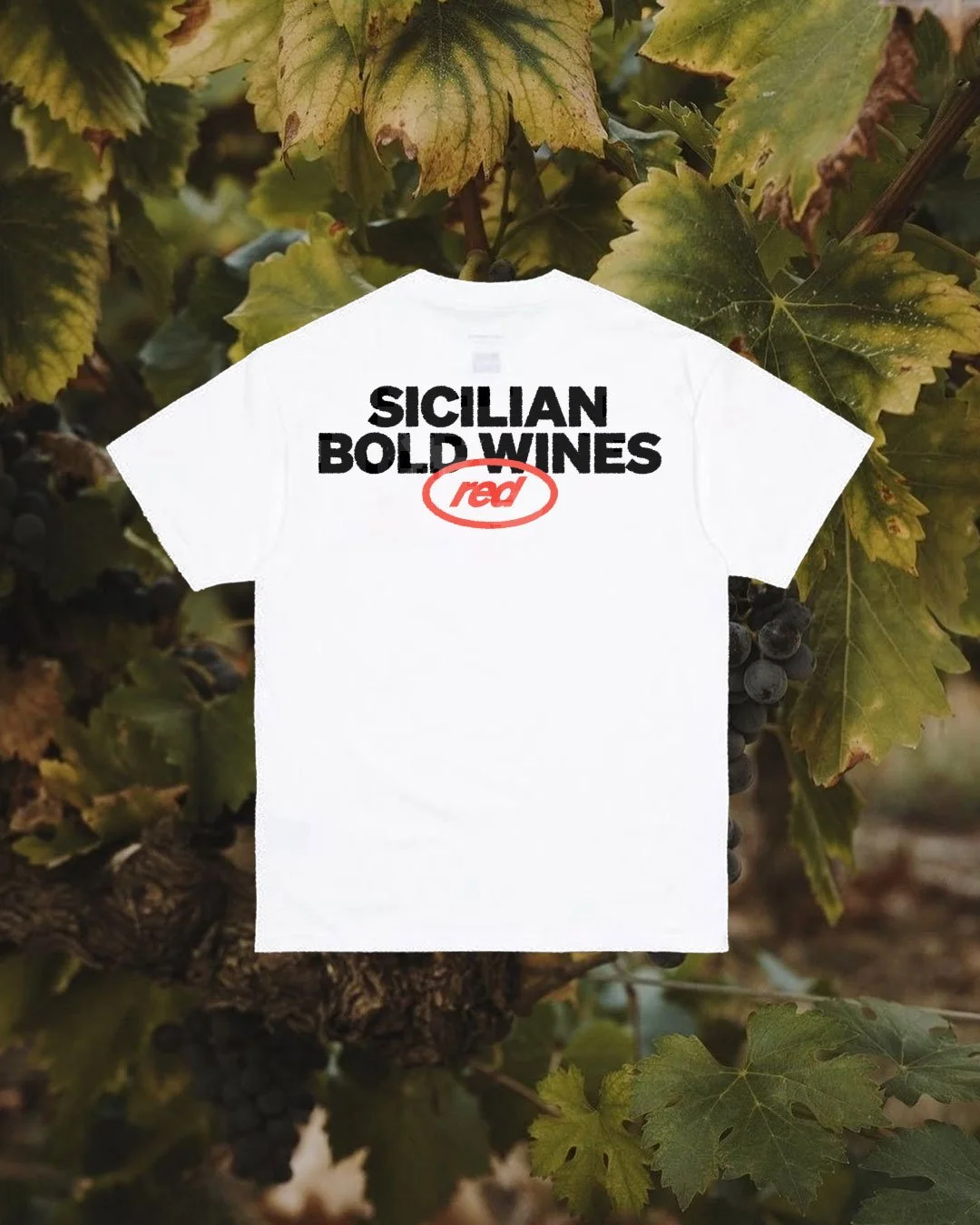 merch01.jpg