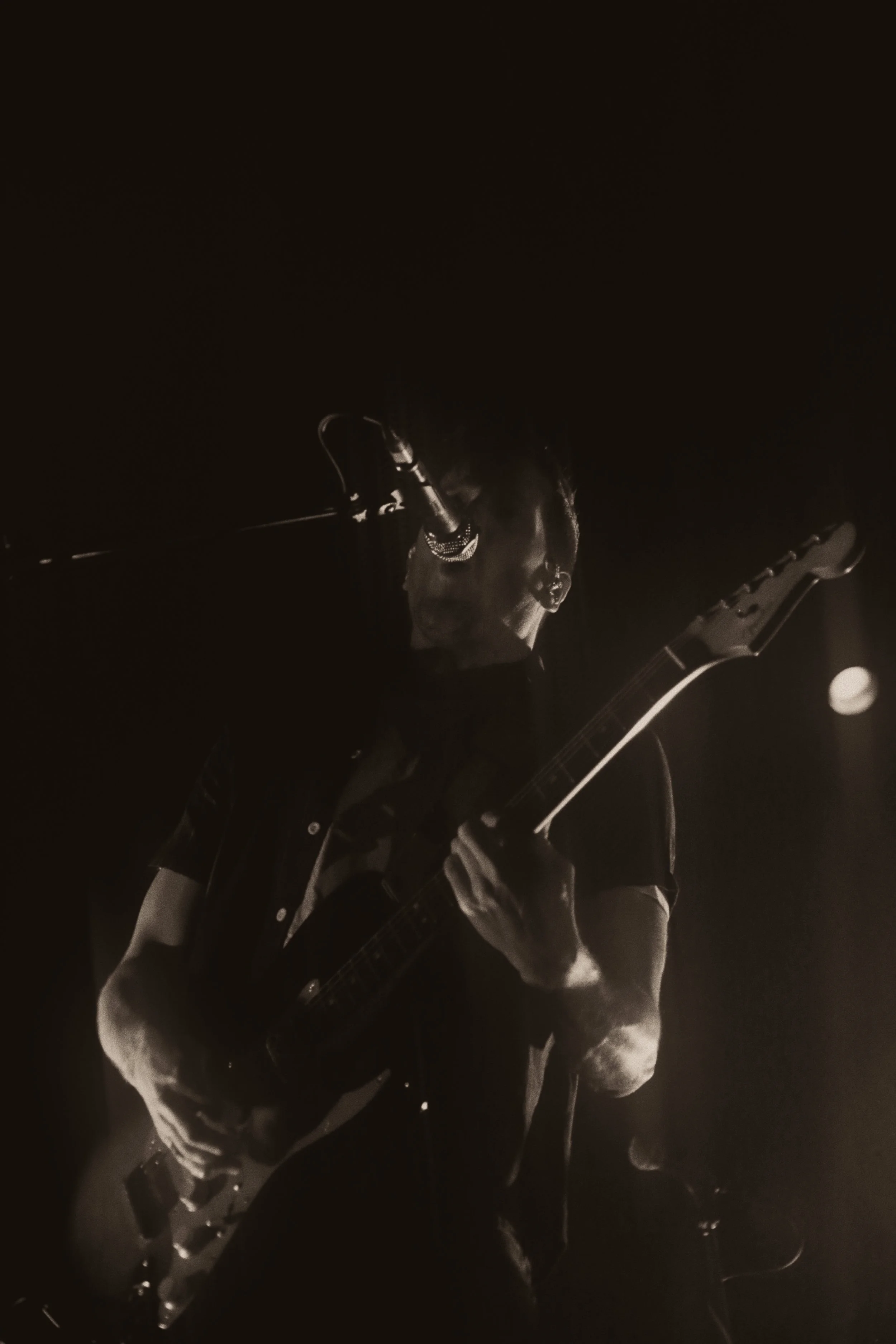 0P0A8209.jpg