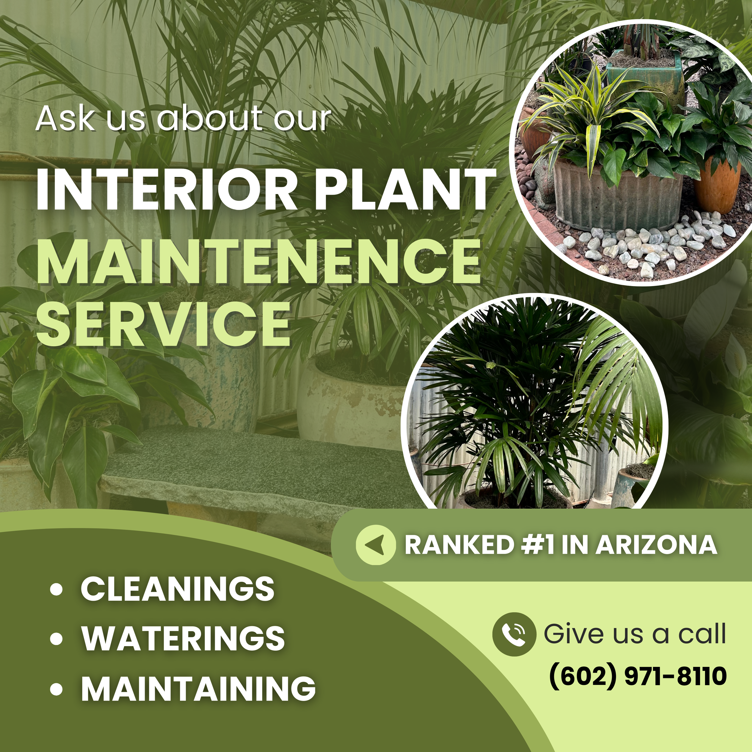 Interior Plant (1).png