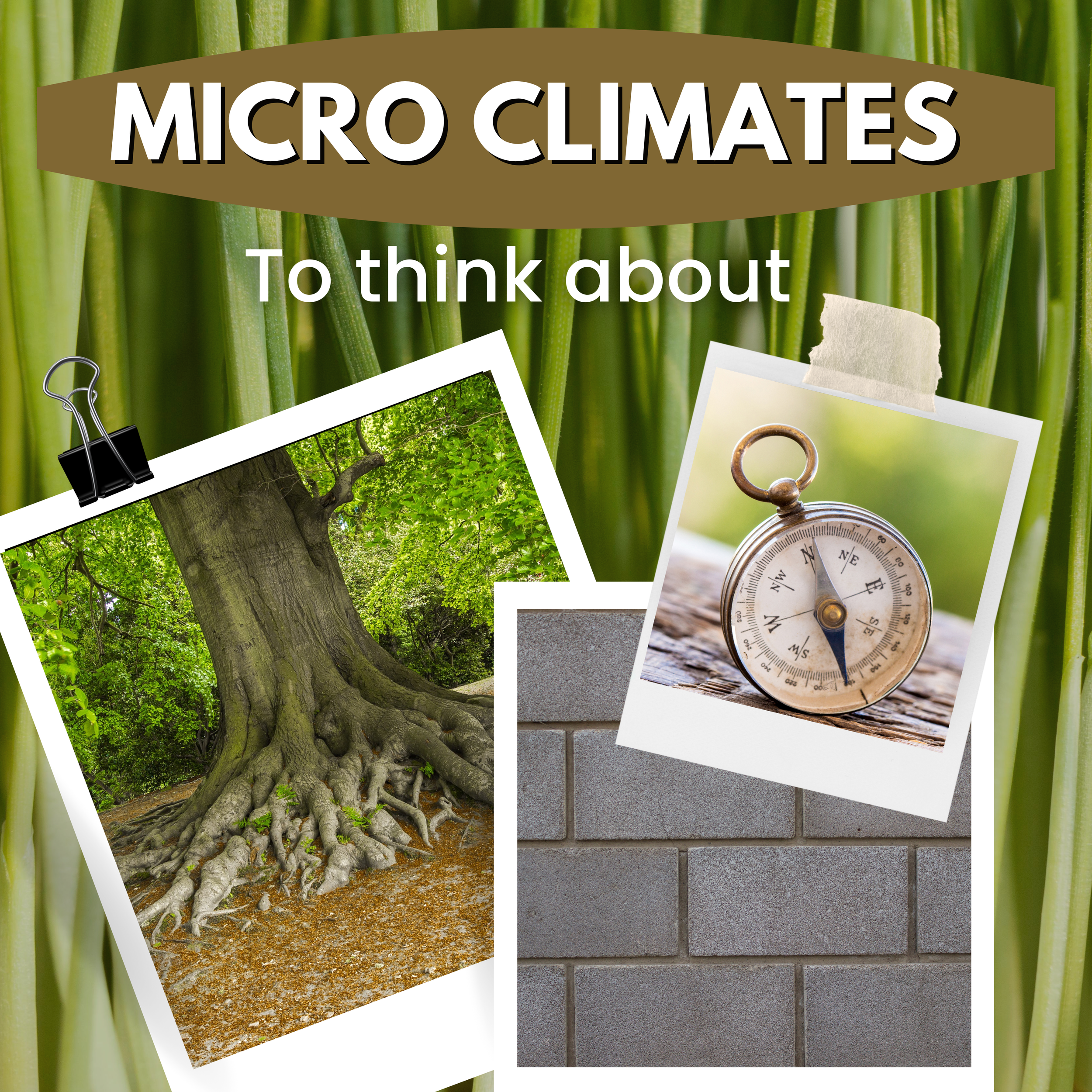 Micro Climates.png