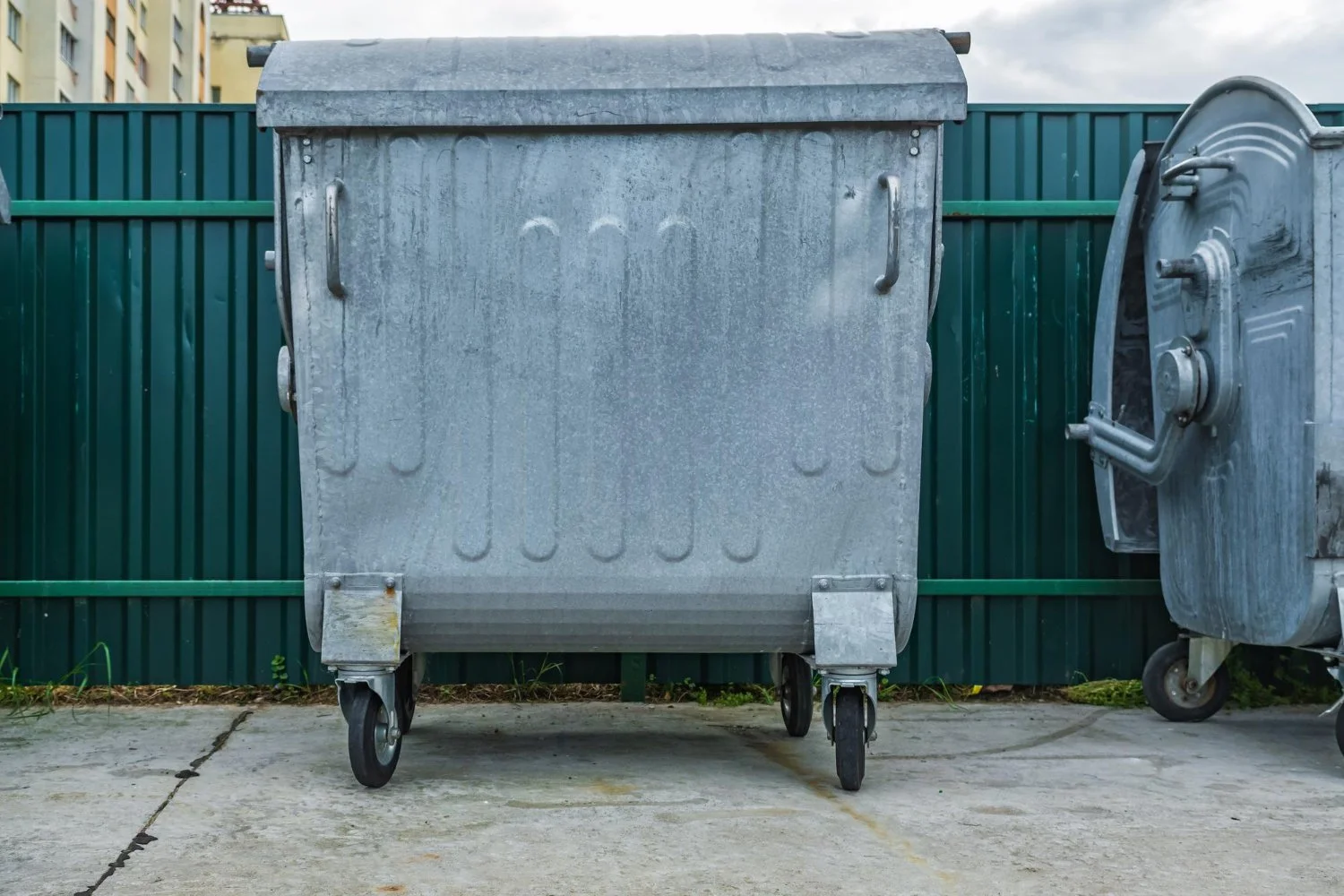 How To Use Front-Load Dumpster Rental For Fall Clean-Up
