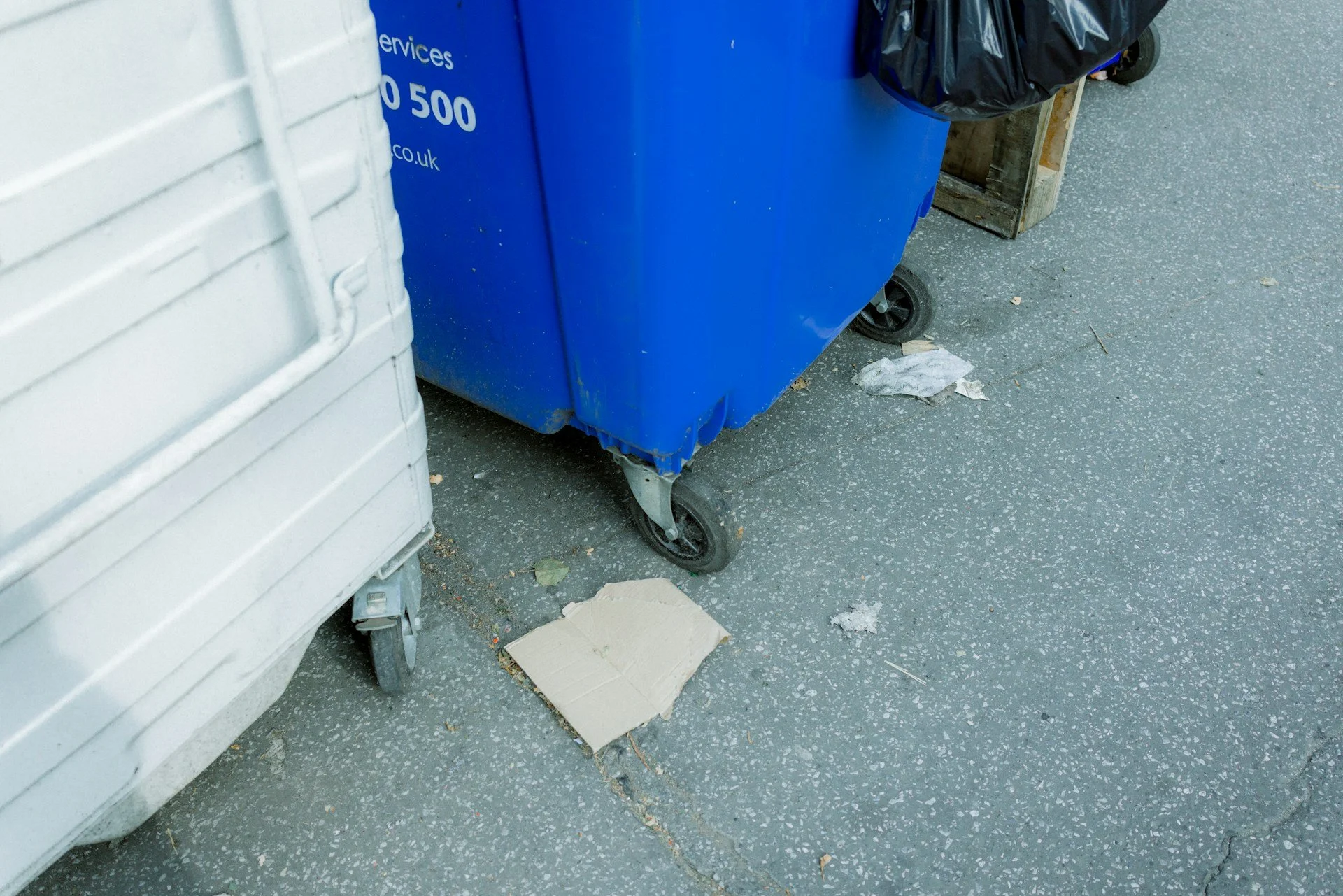 What Winter Storm Cleanup Looks Like With a Roll Offs Dumpster