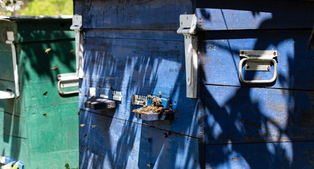 Front Load Dumpster Rental vs Rear Load: What's the Difference?