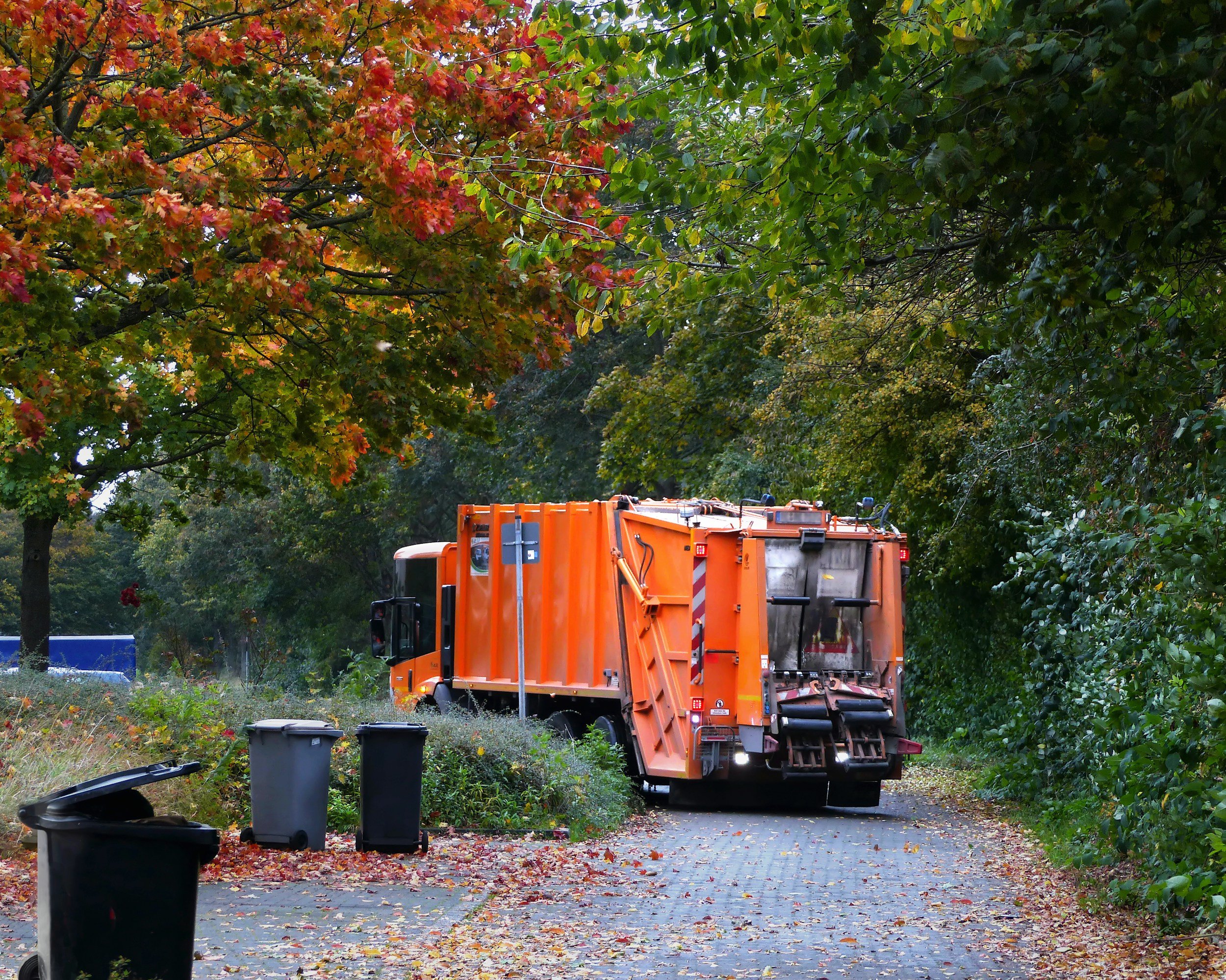 What Happens During a Hazardous Waste Collection in NC