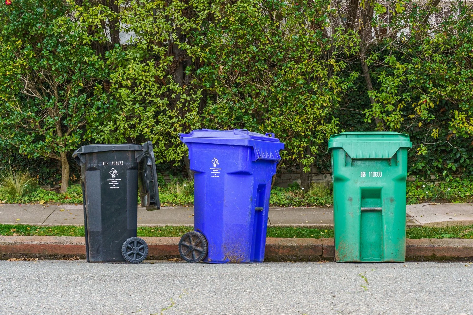 Which Trash Collection Company Handles Summer Cleanouts Best?
