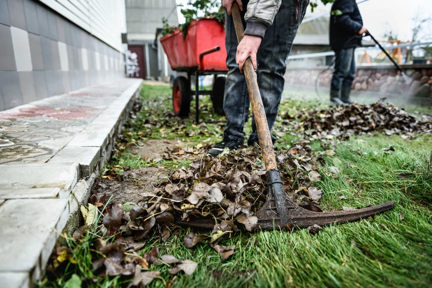 How to Time Residential Trash Removal During Fall Projects