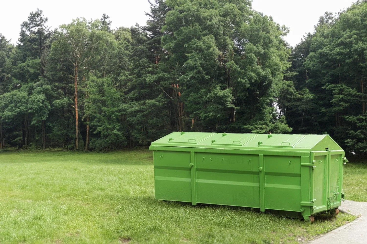 When to Book Roll Offs Dumpsters Before Big Fall Cleanups
