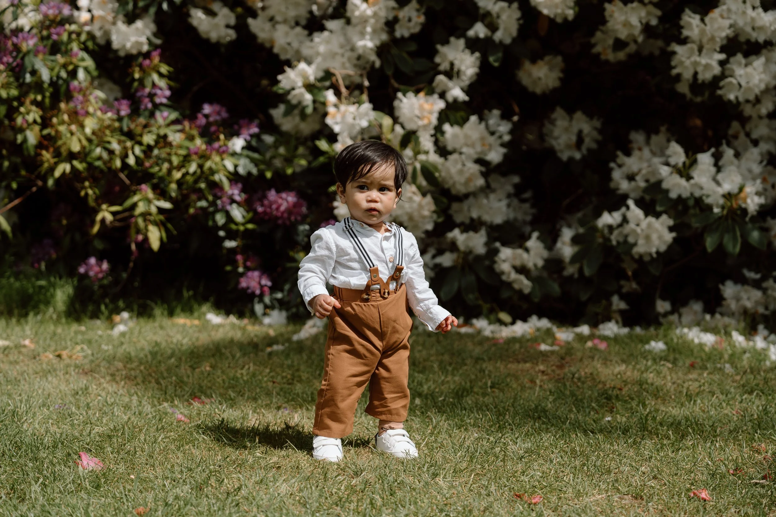 muckross_killarney_family_photographer_30.jpg